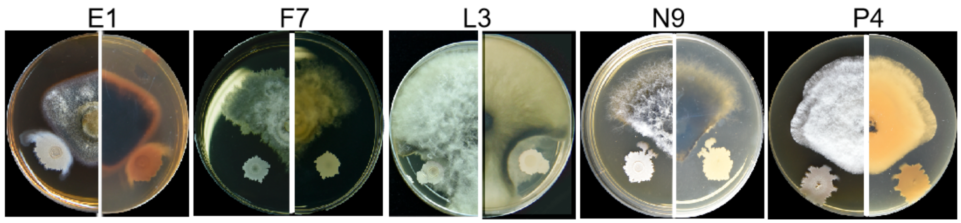 Microorganisms 08 00689 g009