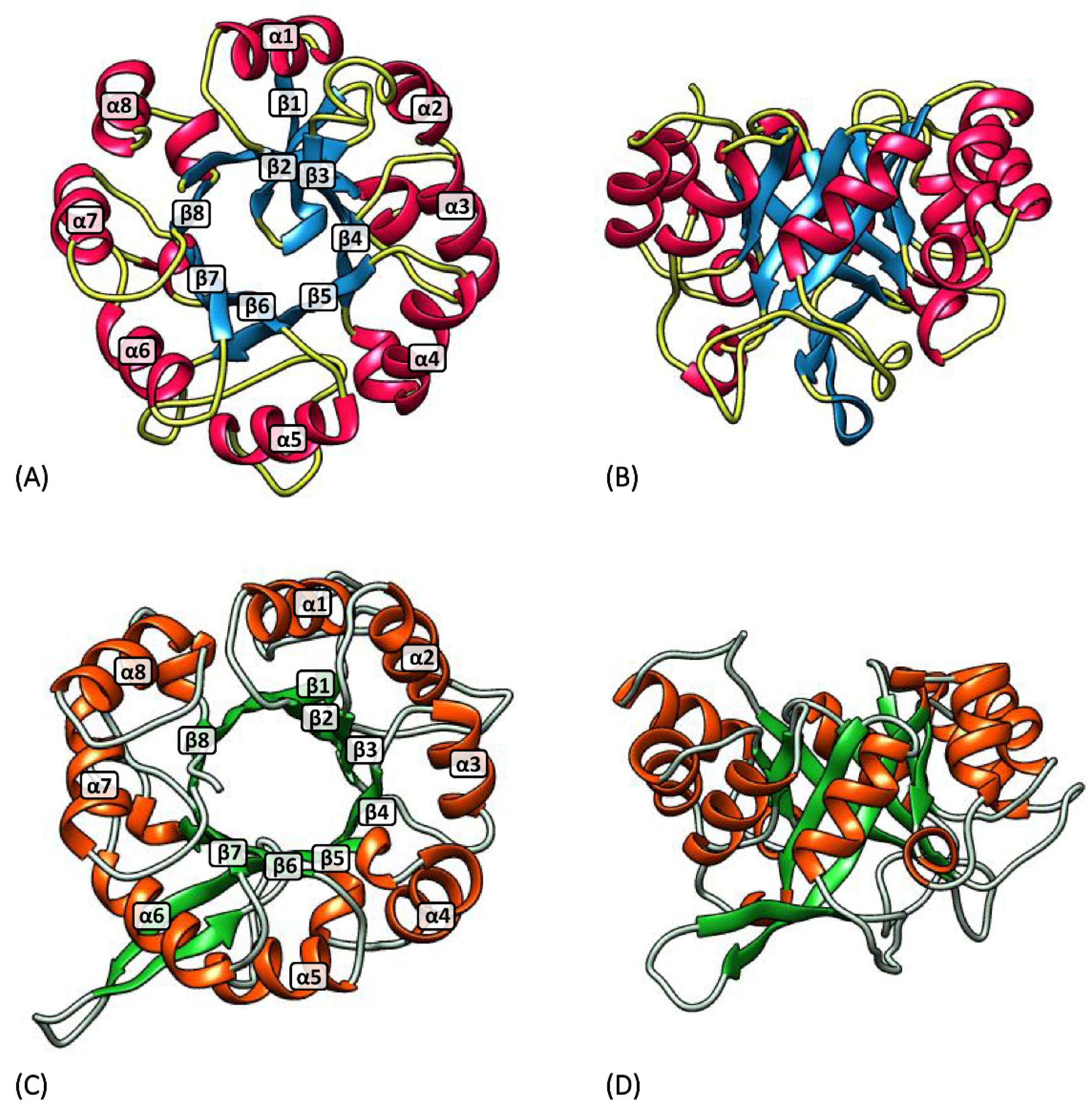 Microorganisms 08 00732 g004