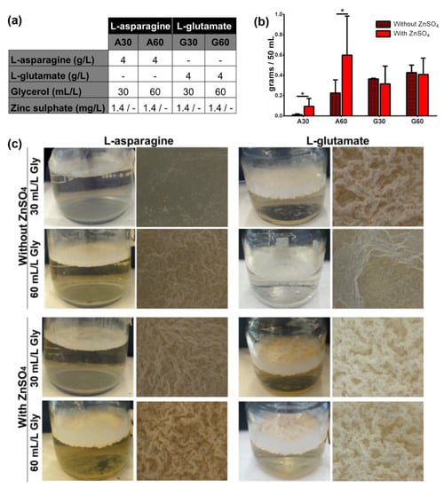 Microorganisms | Free Full-Text | Each Mycobacterium Requires A.