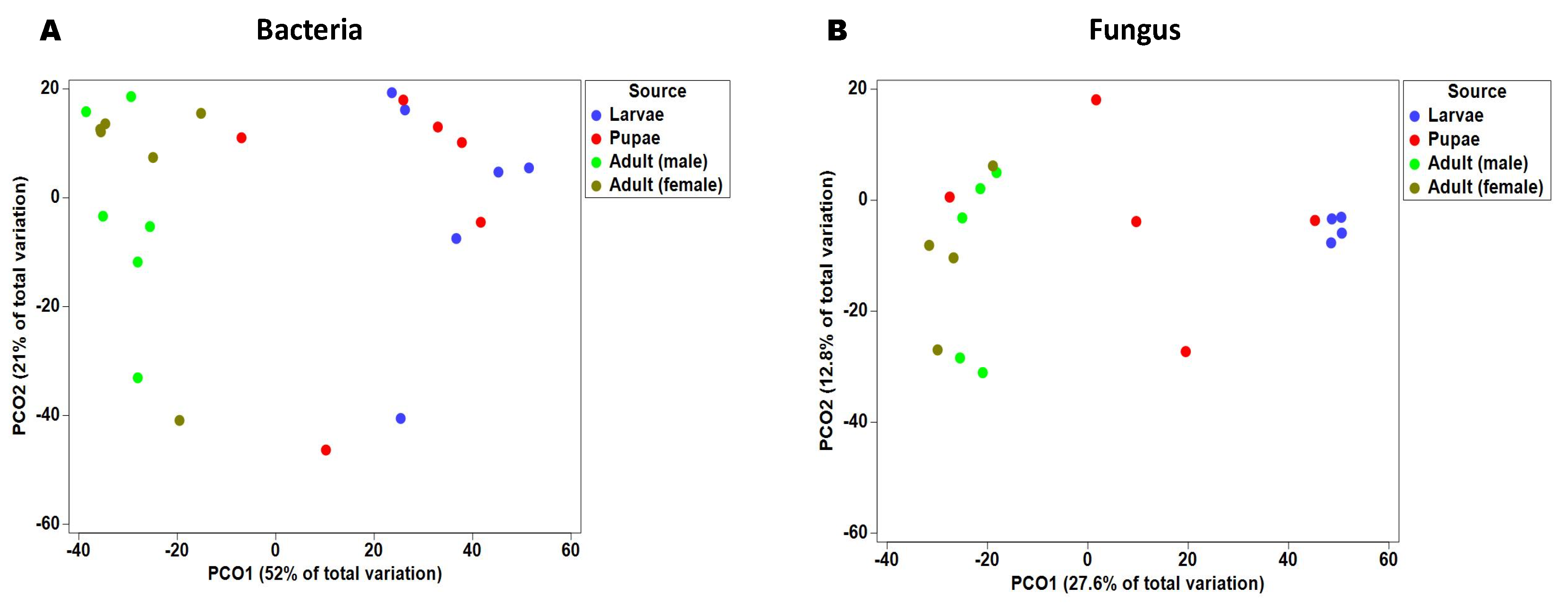 Microorganisms 08 00795 g003