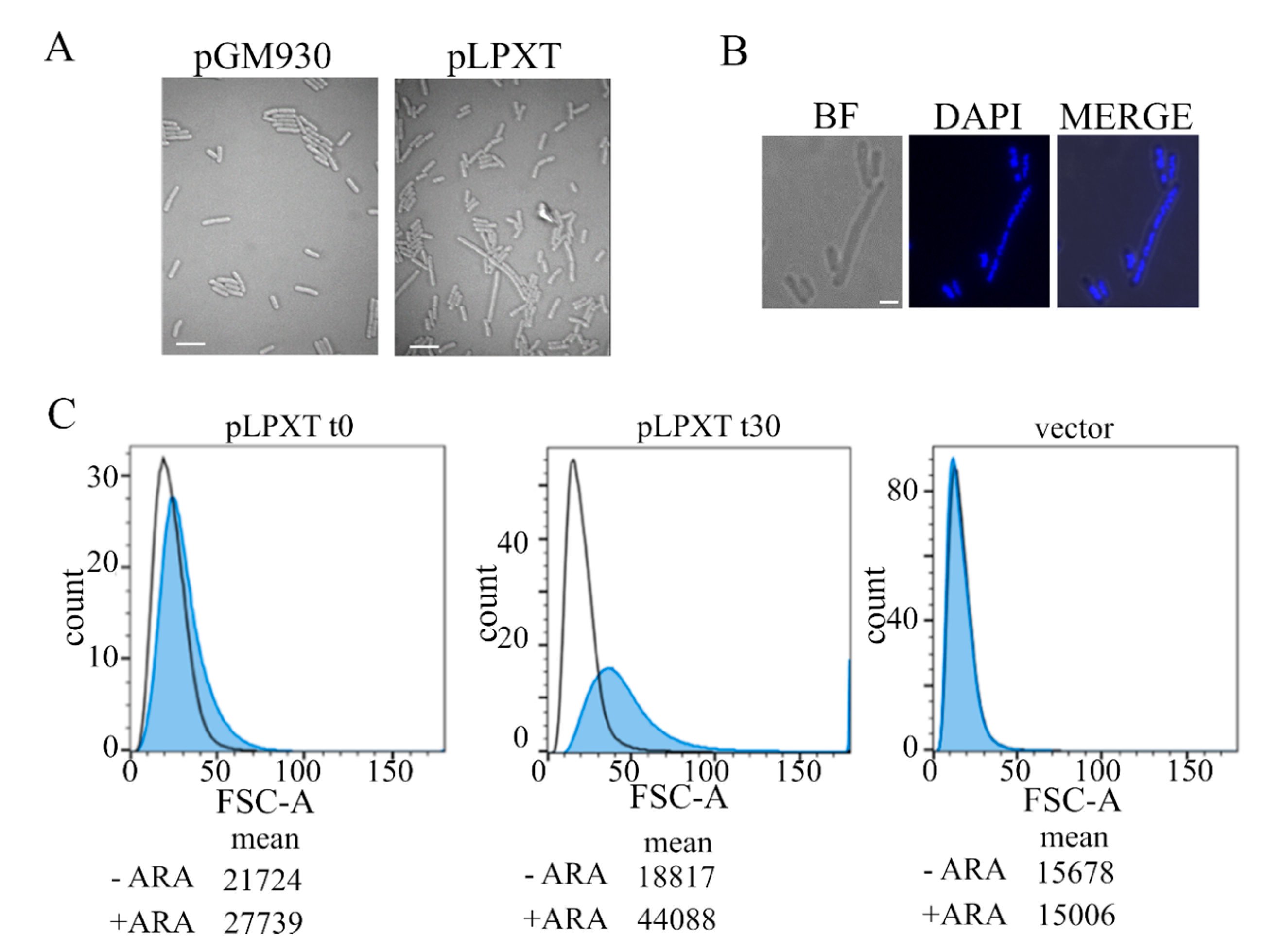 Microorganisms 08 00826 g003 Microorganisms 08 00826 g003