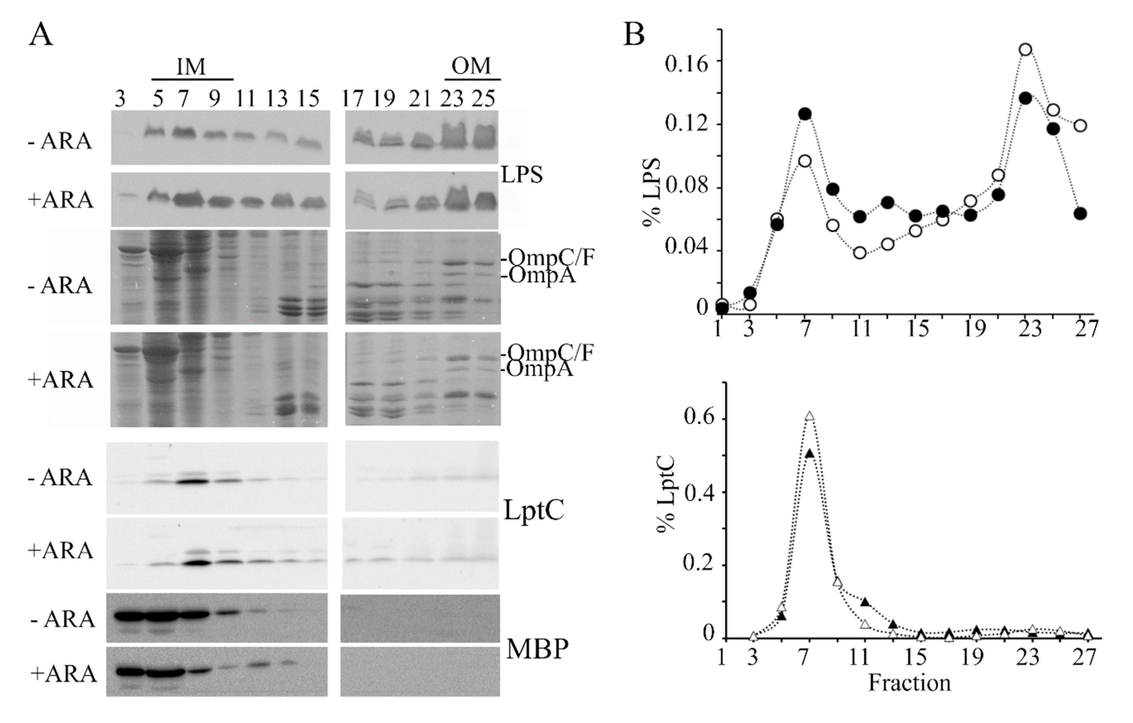 Microorganisms 08 00826 g006 Microorganisms 08 00826 g006