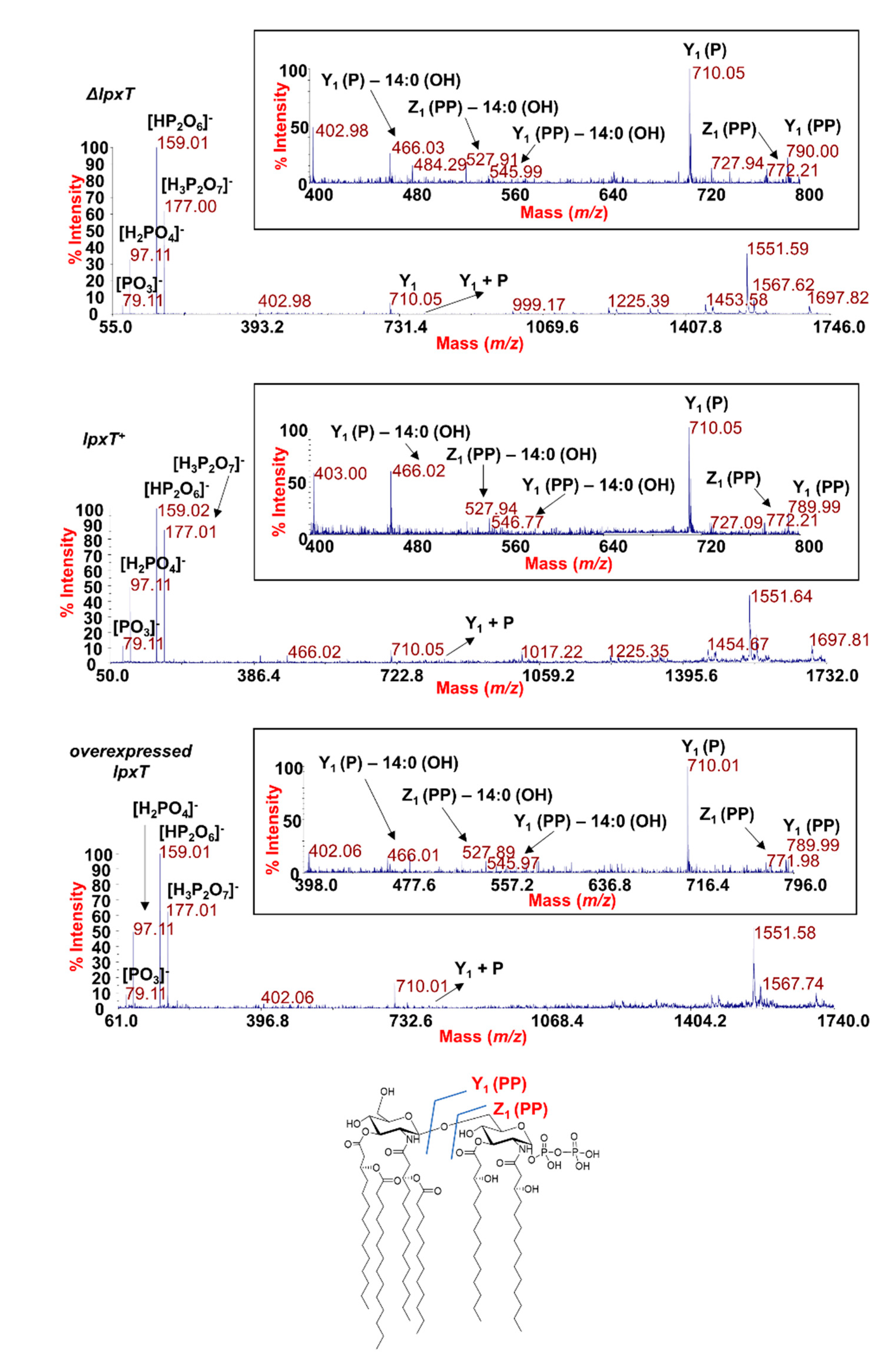 Microorganisms 08 00826 g009 Microorganisms 08 00826 g009