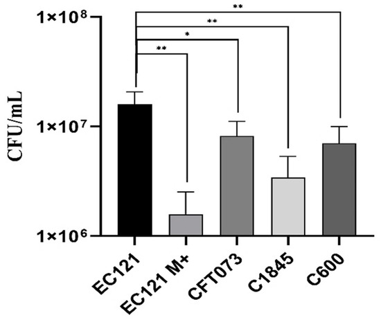 Complementation of the E. coli TolC strain with a plasmid-carried copy