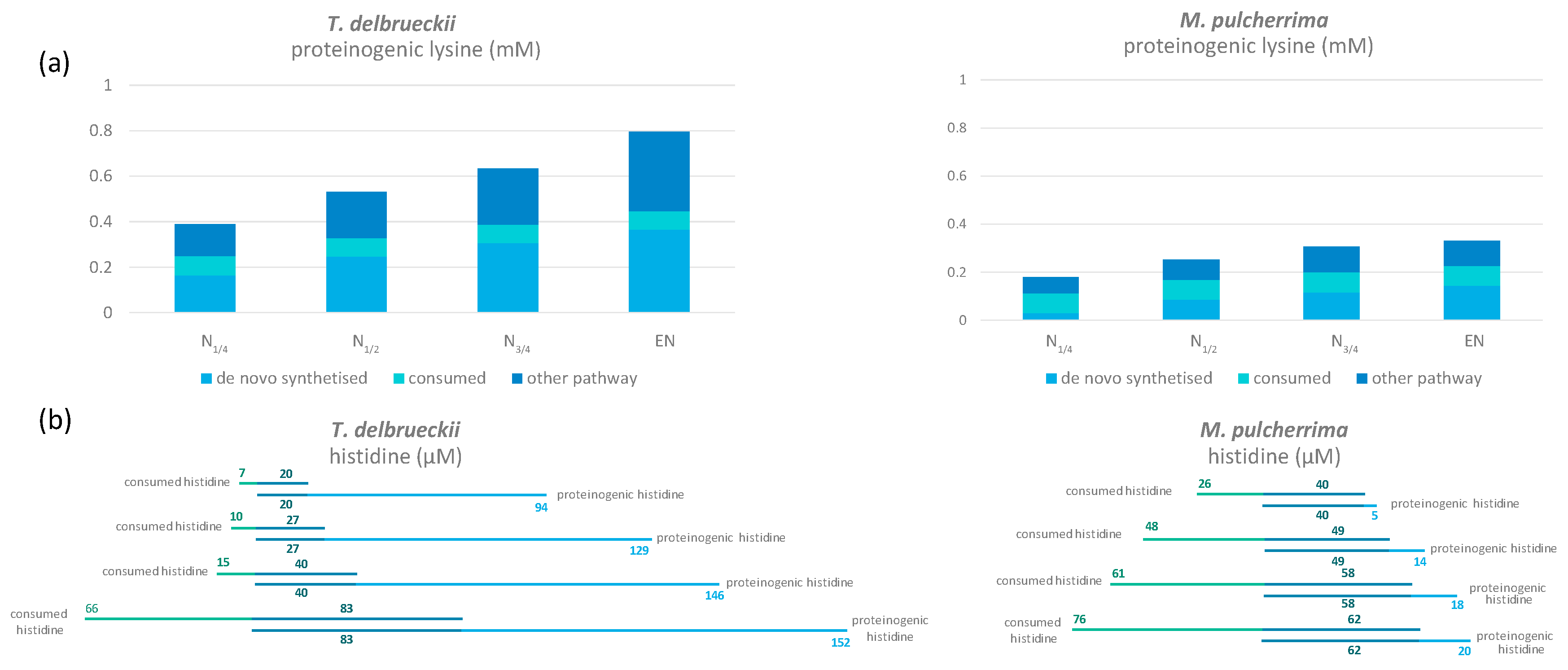 Microorganisms 08 00904 g004