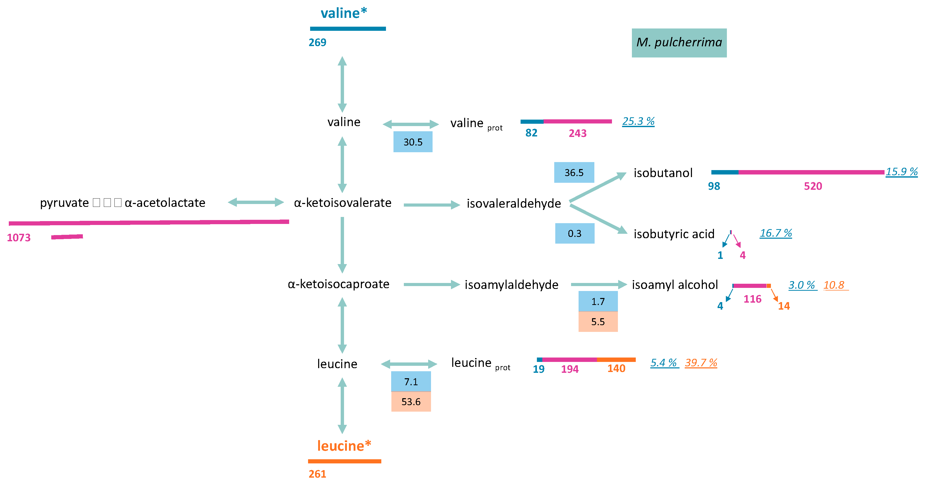 Microorganisms 08 00904 g007