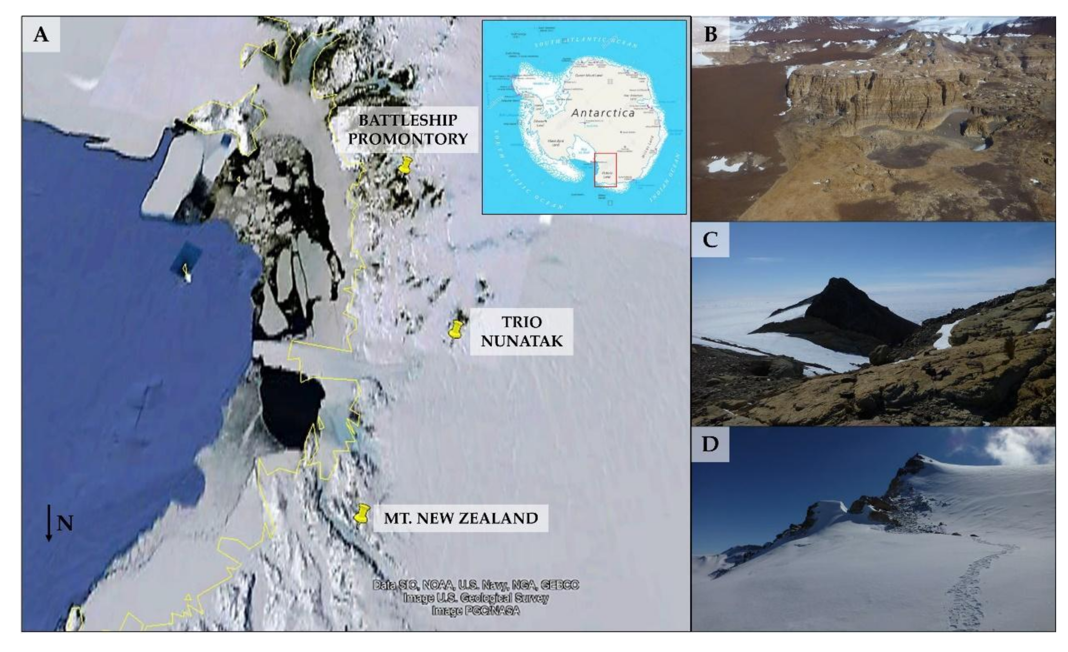 Microorganisms | Free Full-Text | Uncovered Microbial Diversity in Antarctic  Cryptoendolithic Communities Sampling Three Representative Locations of the  Victoria Land