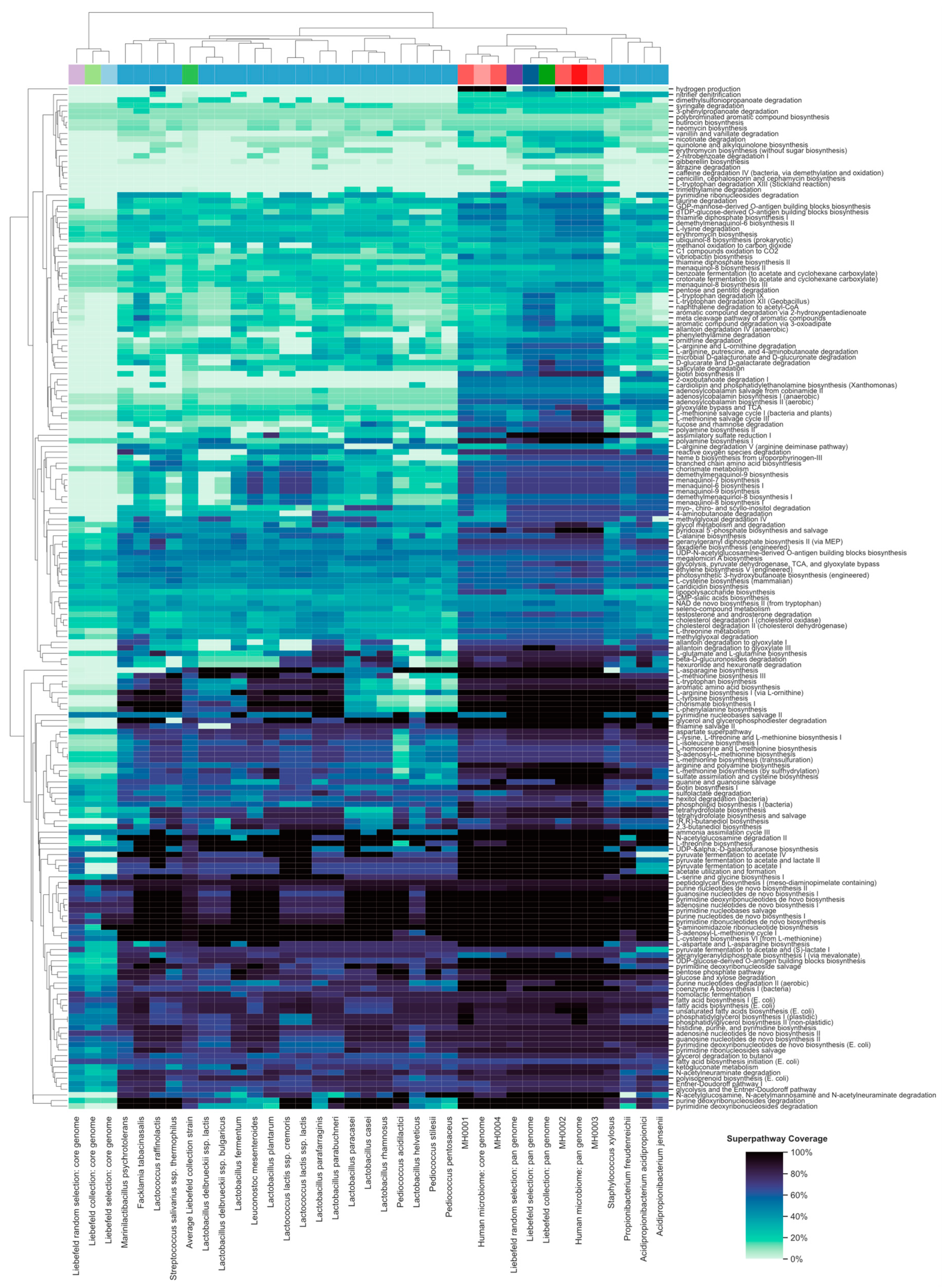 Microorganisms 08 00966 g003