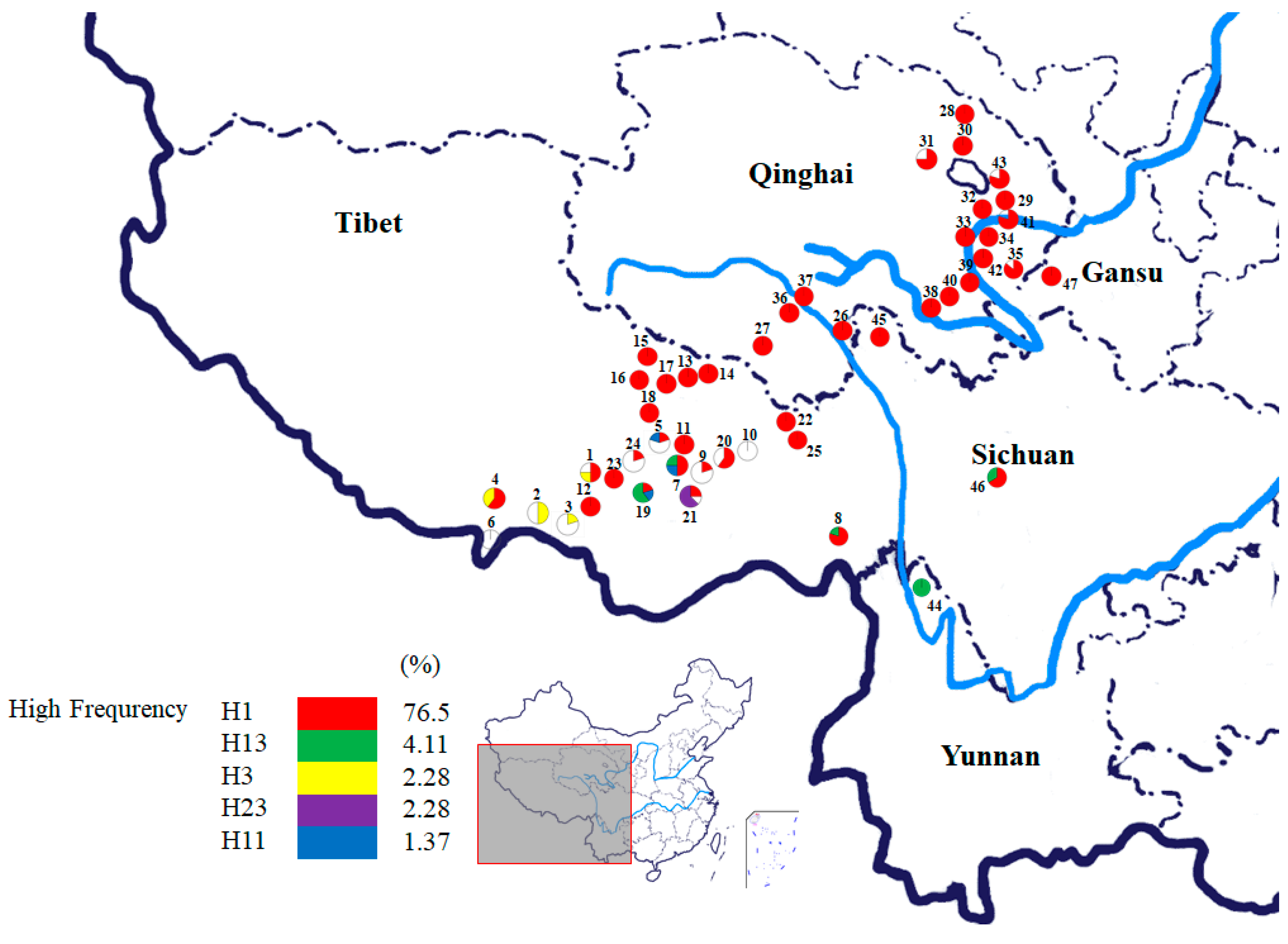Microorganisms 08 00968 g001