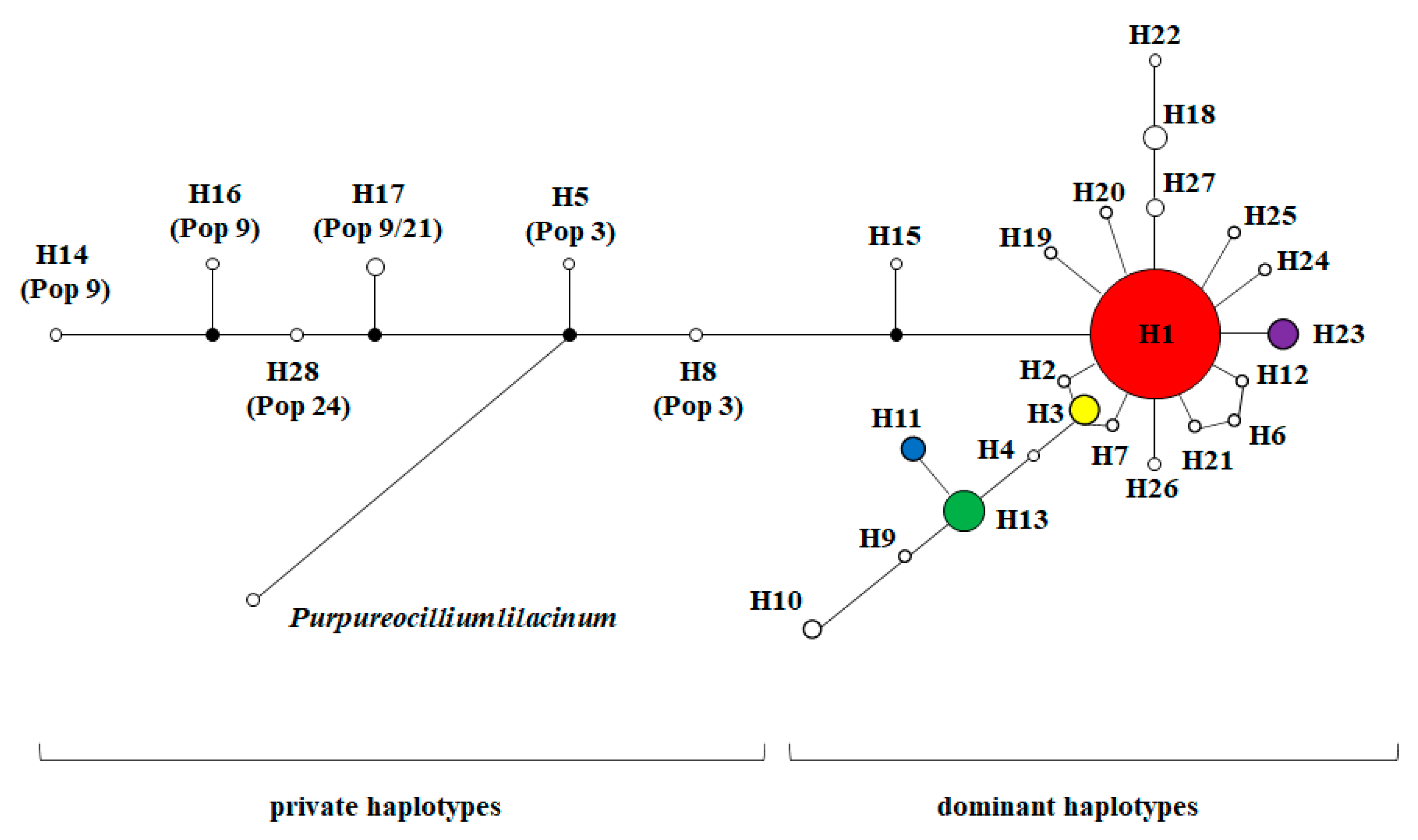 Microorganisms 08 00968 g004