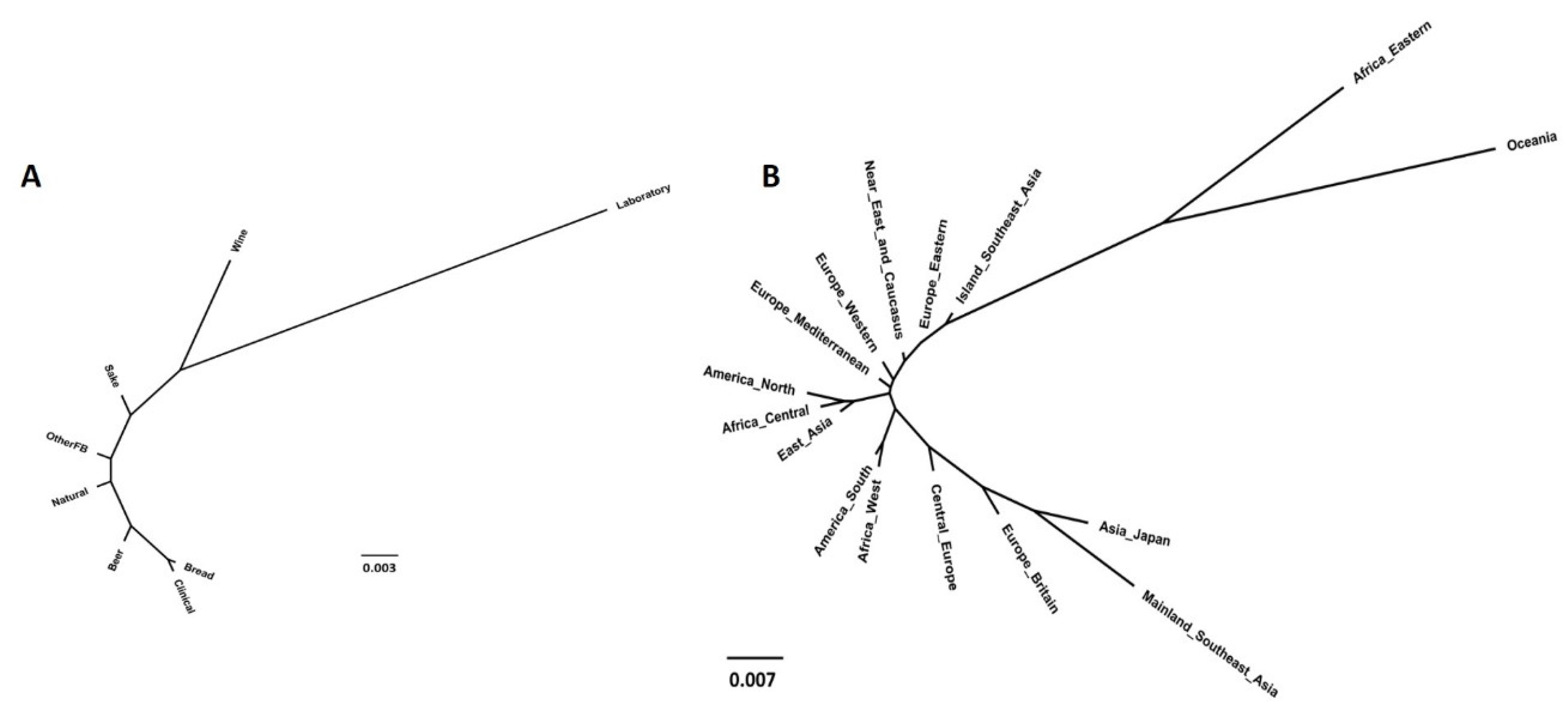 Microorganisms 08 01001 g007 Microorganisms 08 01001 g007