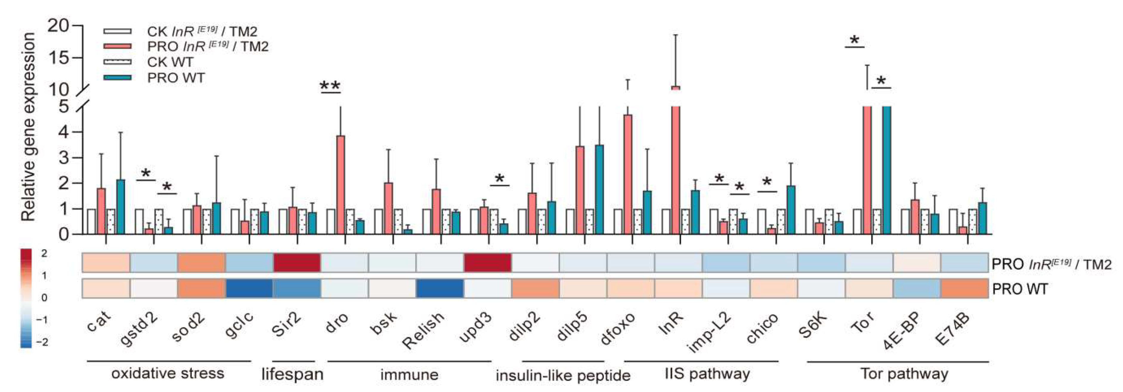 Microorganisms 08 01027 g002