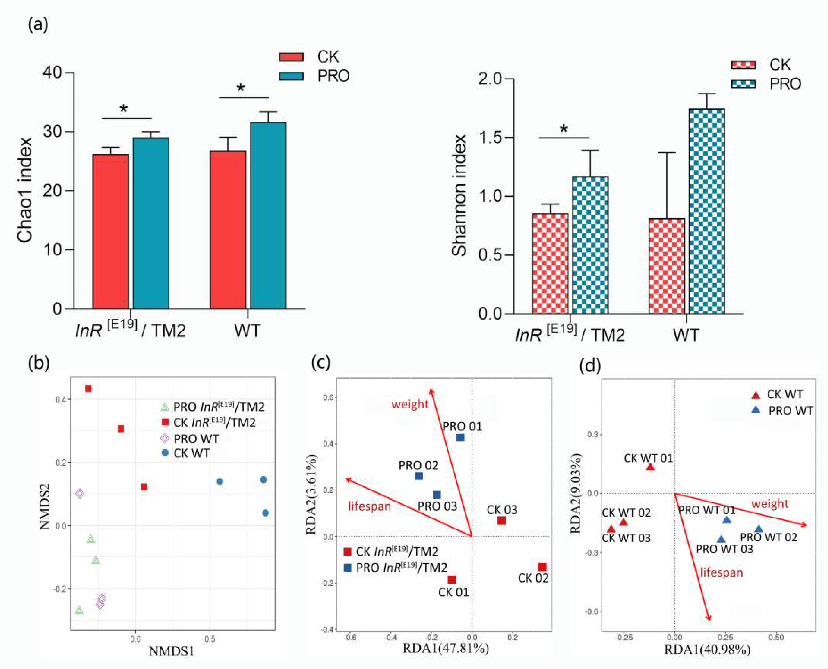 Microorganisms 08 01027 g003