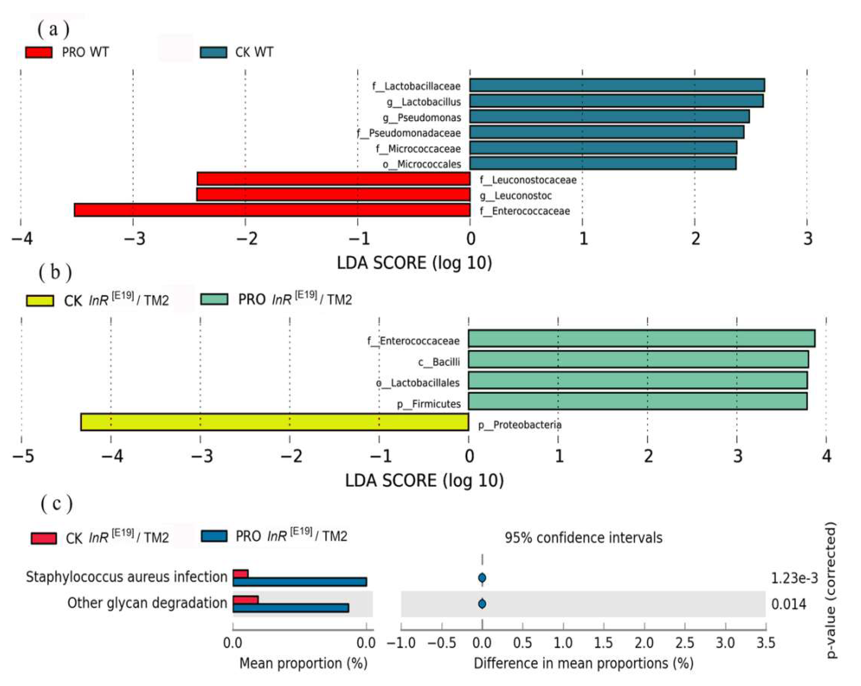 Microorganisms 08 01027 g004