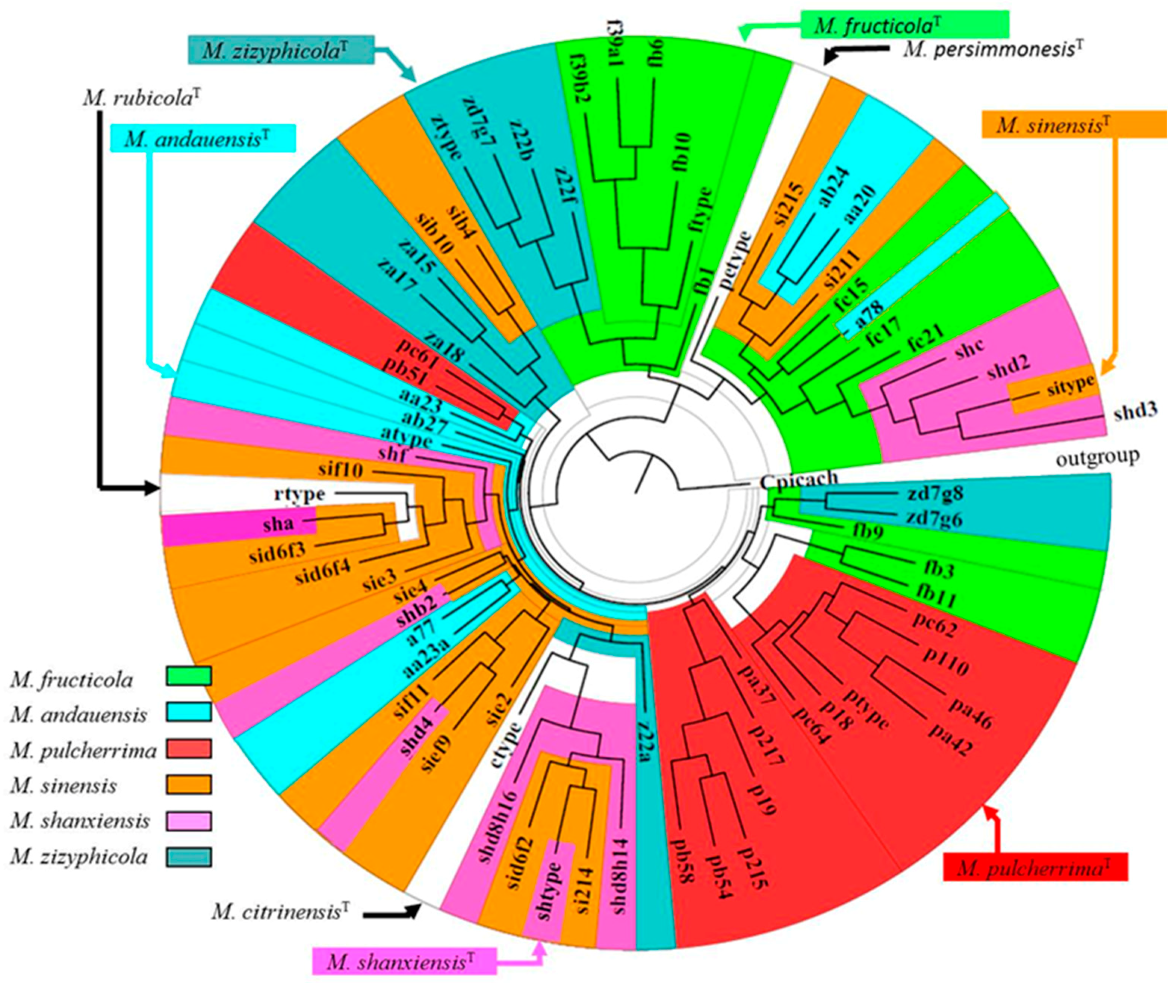 Microorganisms 08 01029 g002