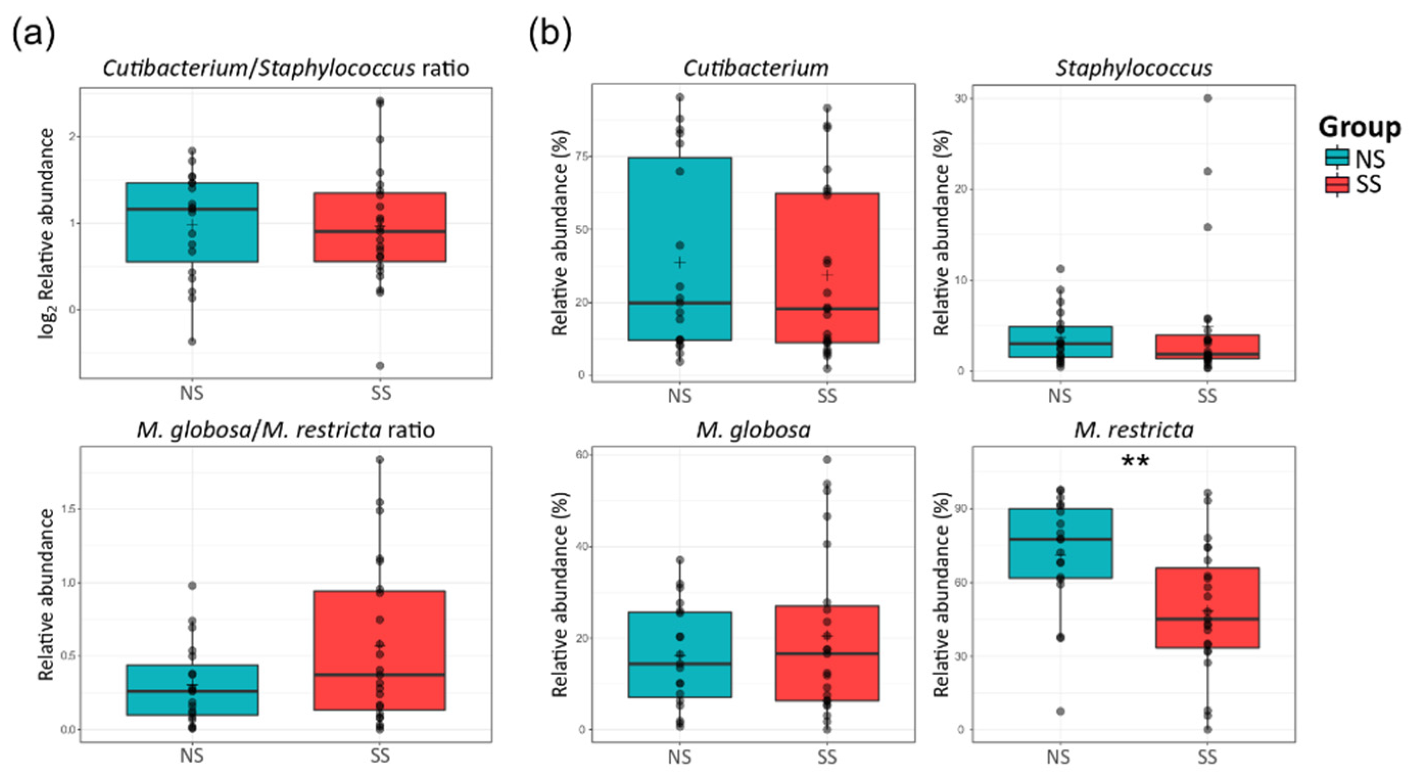 Microorganisms 08 01032 g003