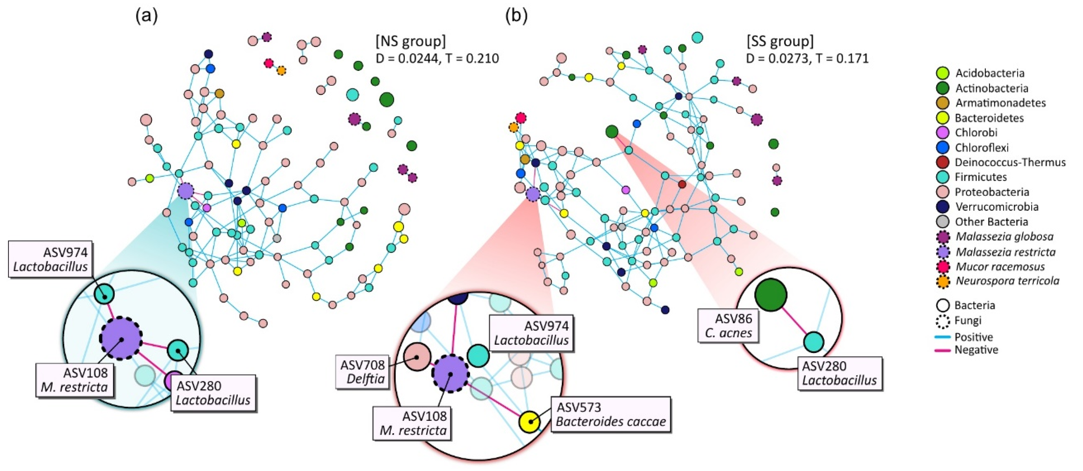 Microorganisms 08 01032 g004