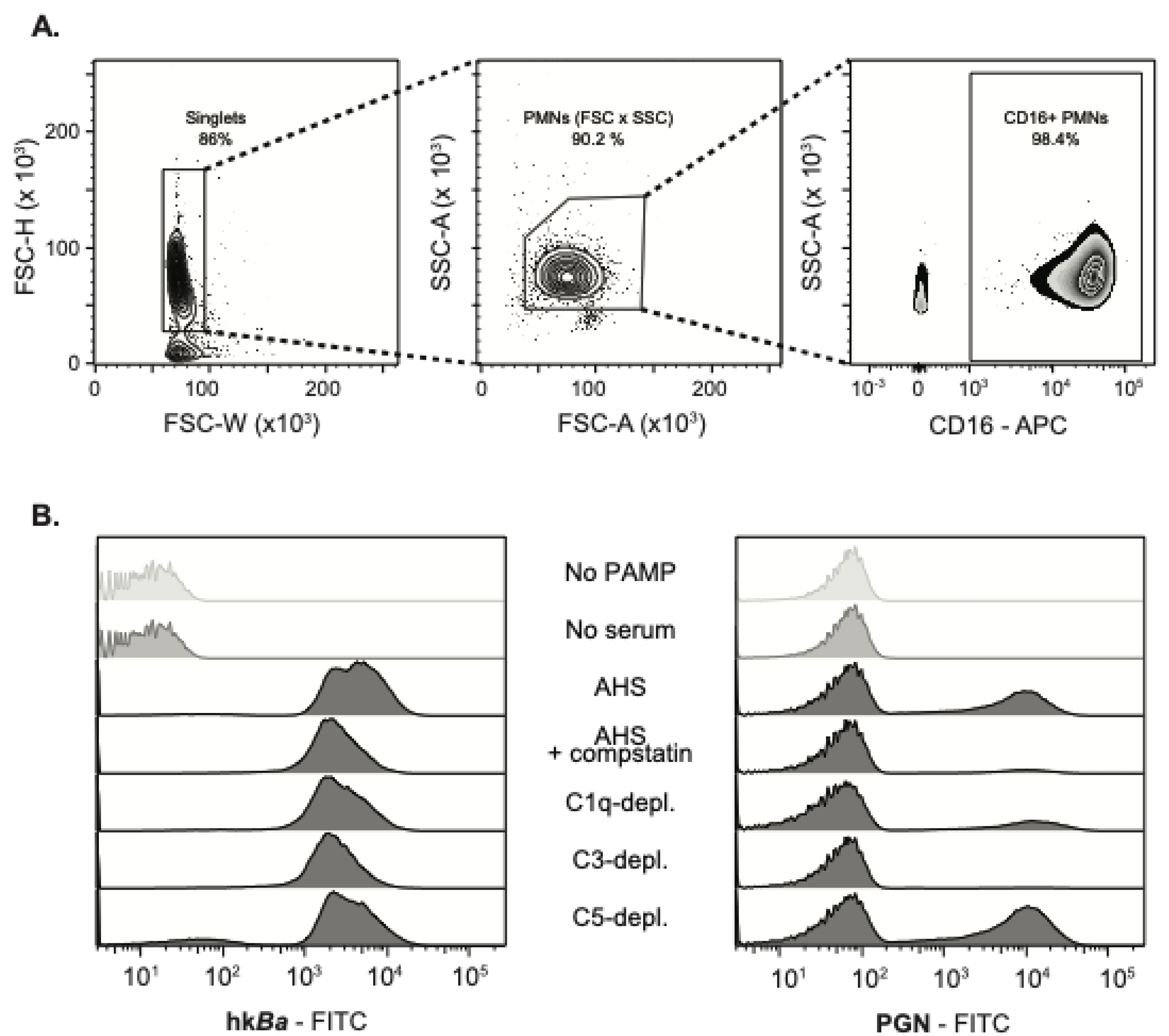 Microorganisms 08 01039 g001 Microorganisms 08 01039 g001