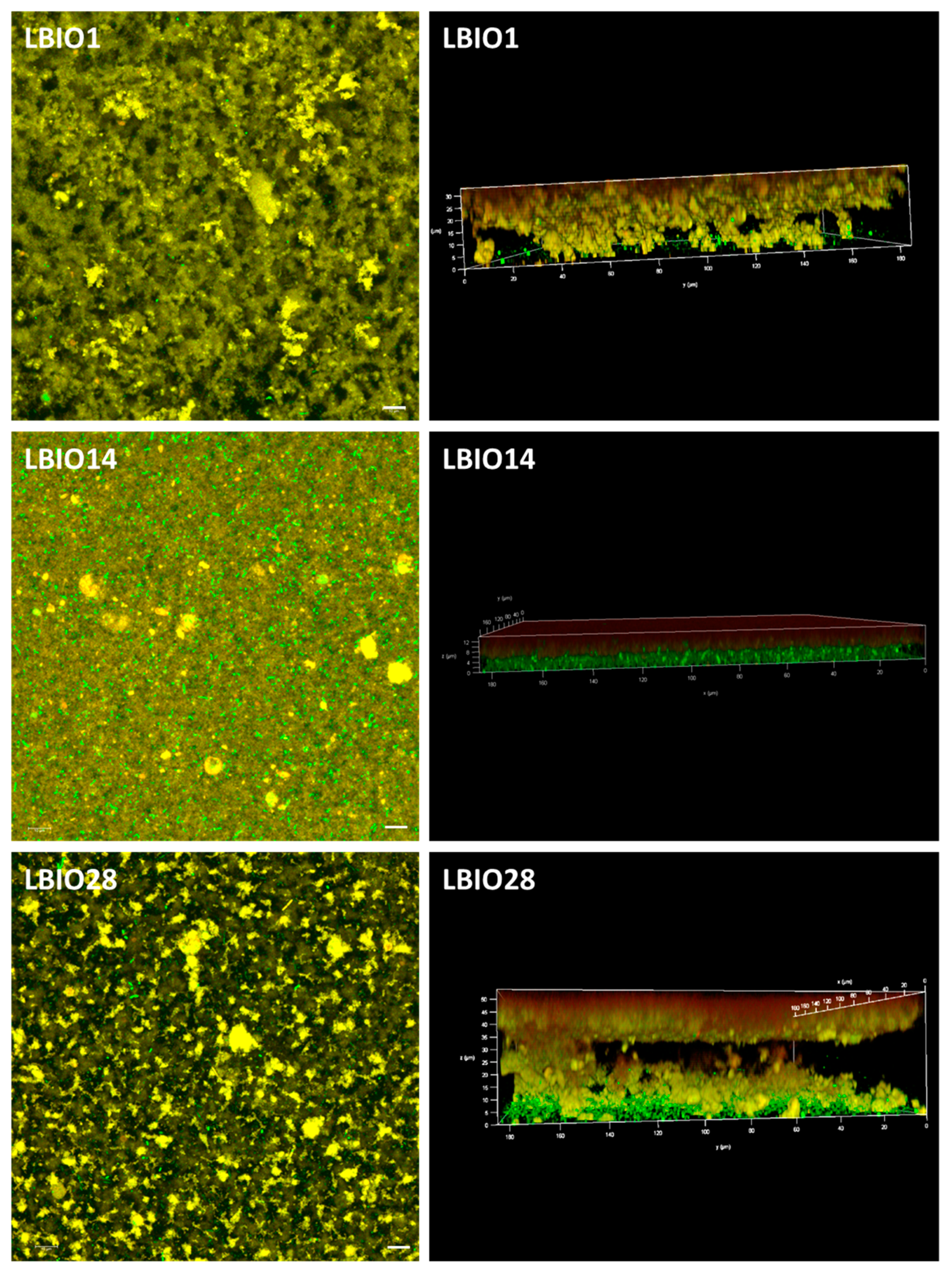 Microorganisms 08 01101 g006 Microorganisms 08 01101 g006