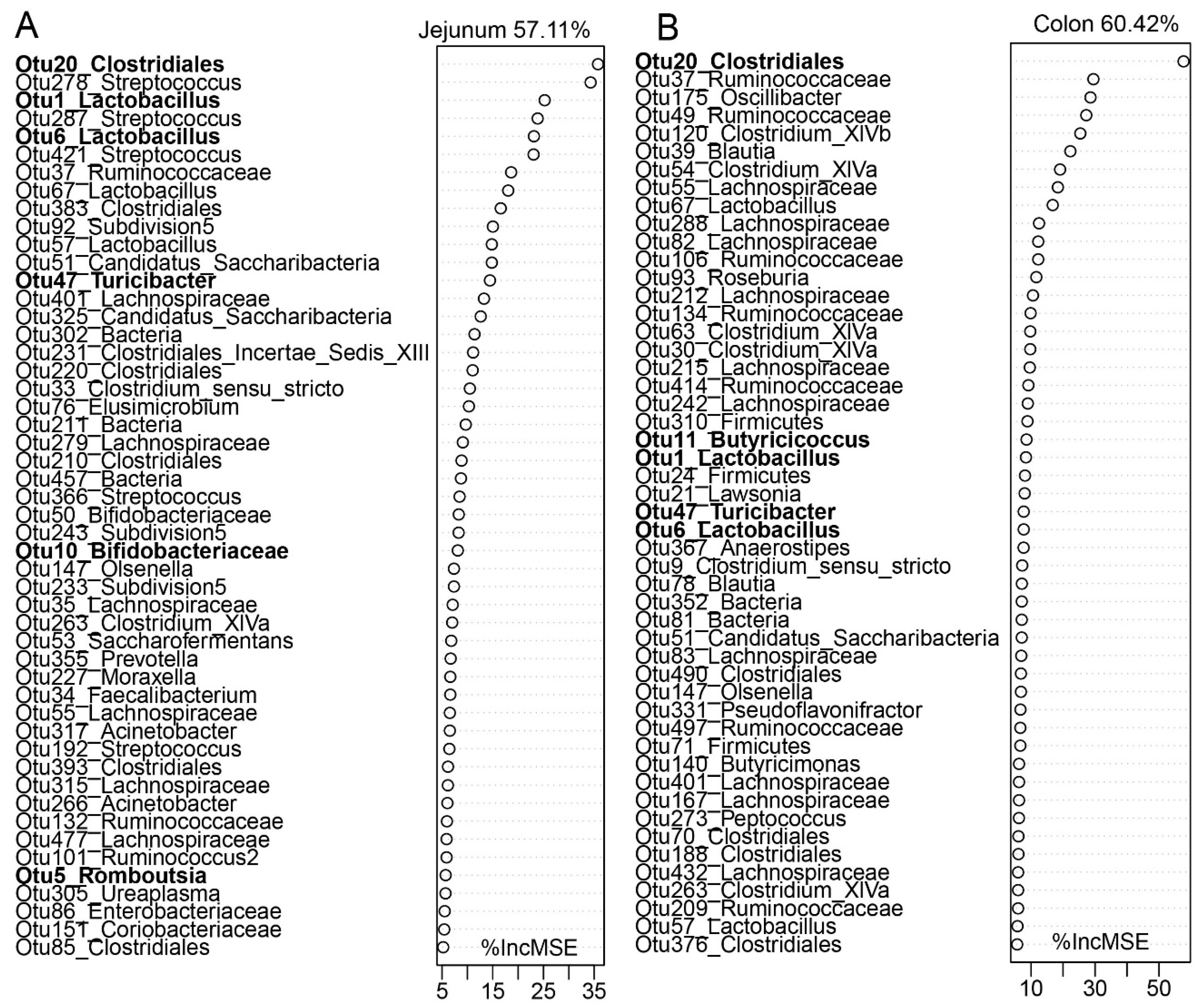 Microorganisms 08 01111 g008 Microorganisms 08 01111 g008