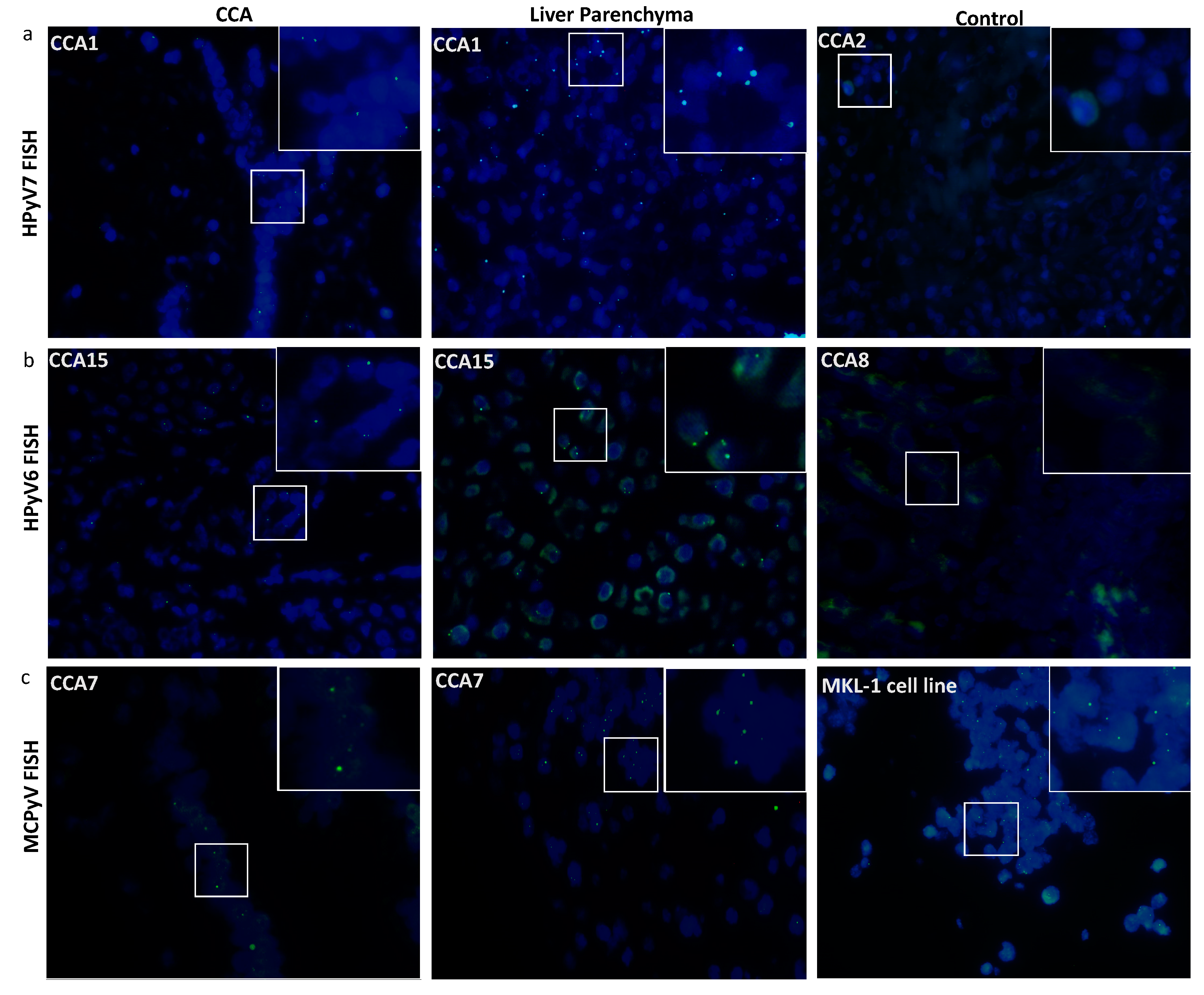 Microorganisms 08 01125 g002