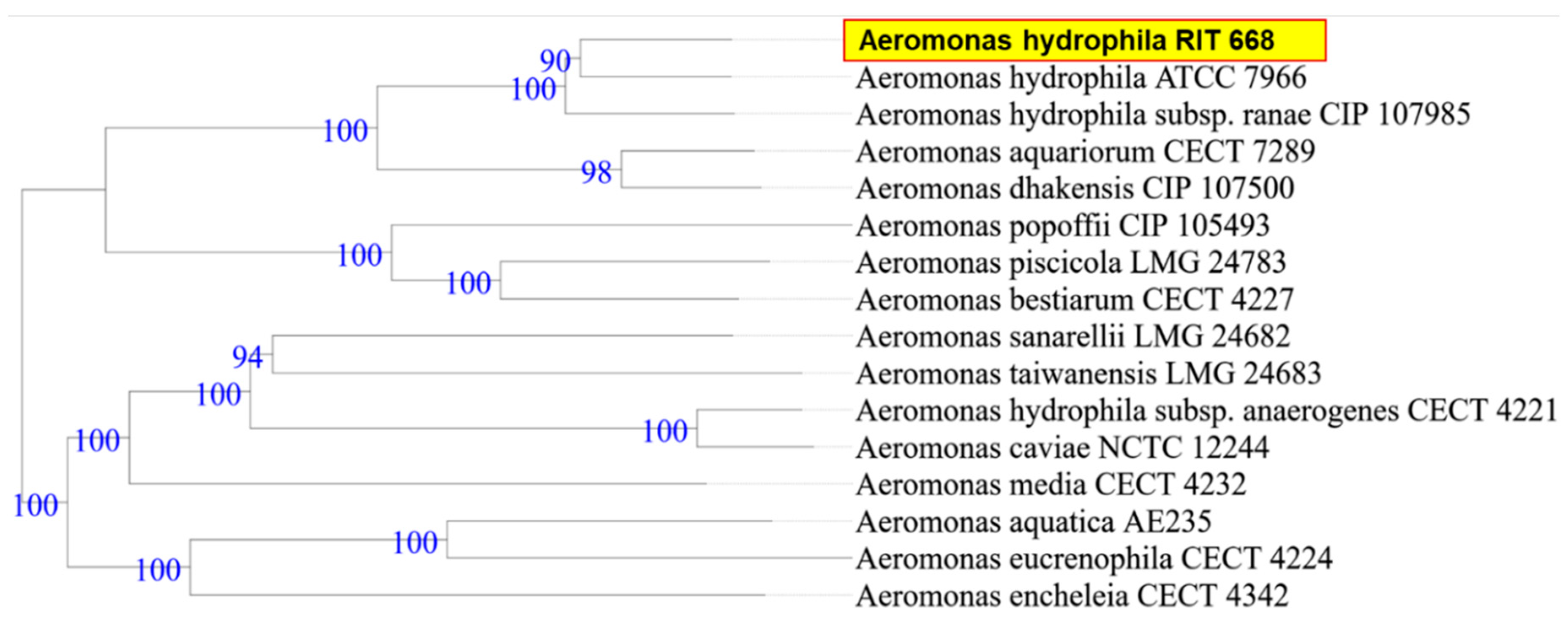 Microorganisms 08 01172 g001