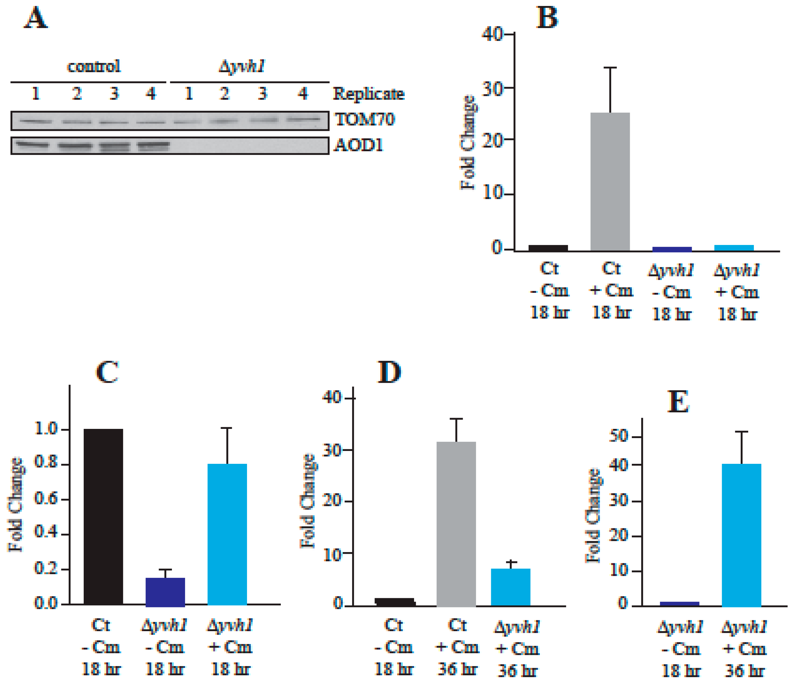 Microorganisms 08 01186 g002