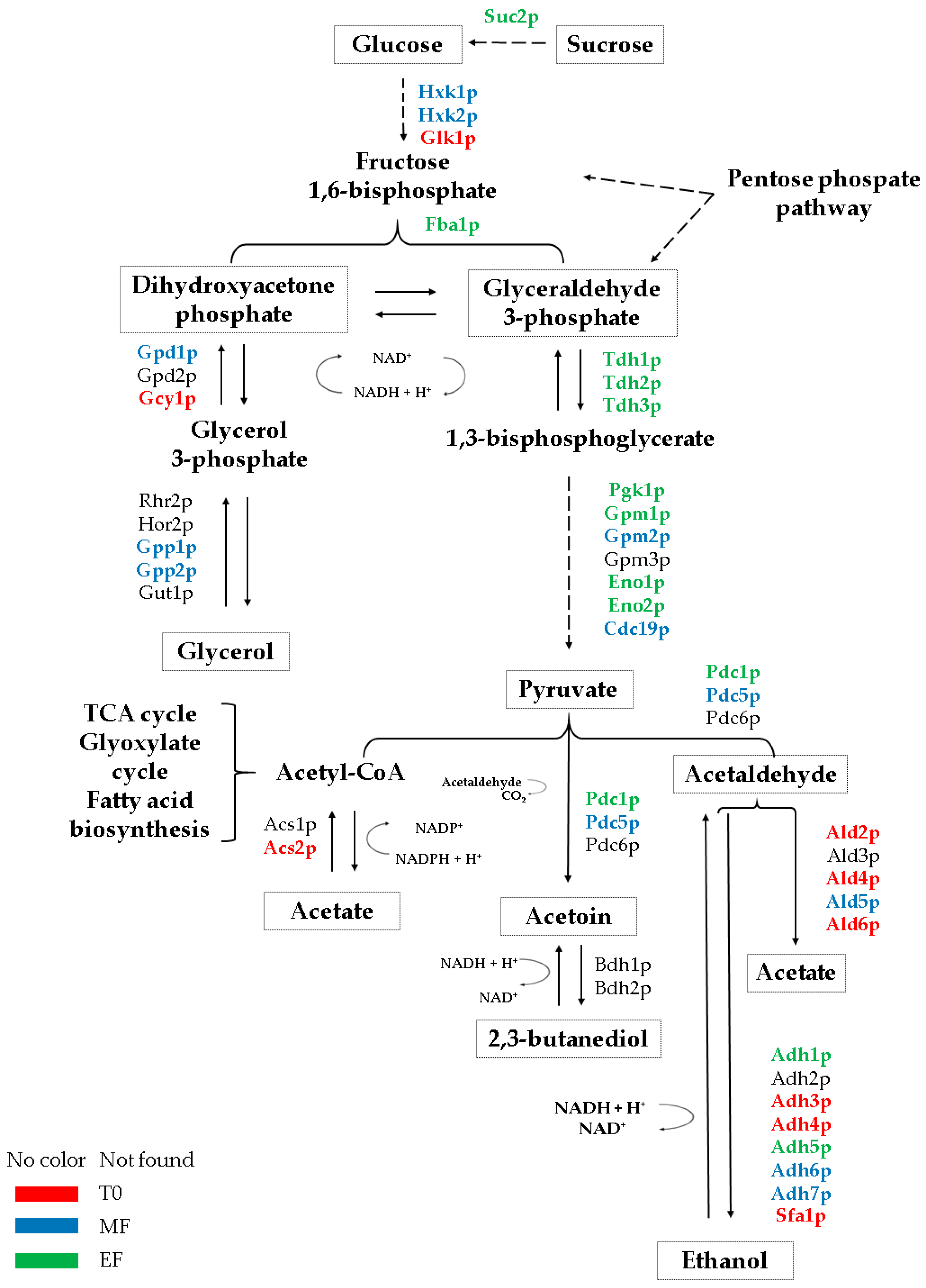 Microorganisms 08 01209 g004