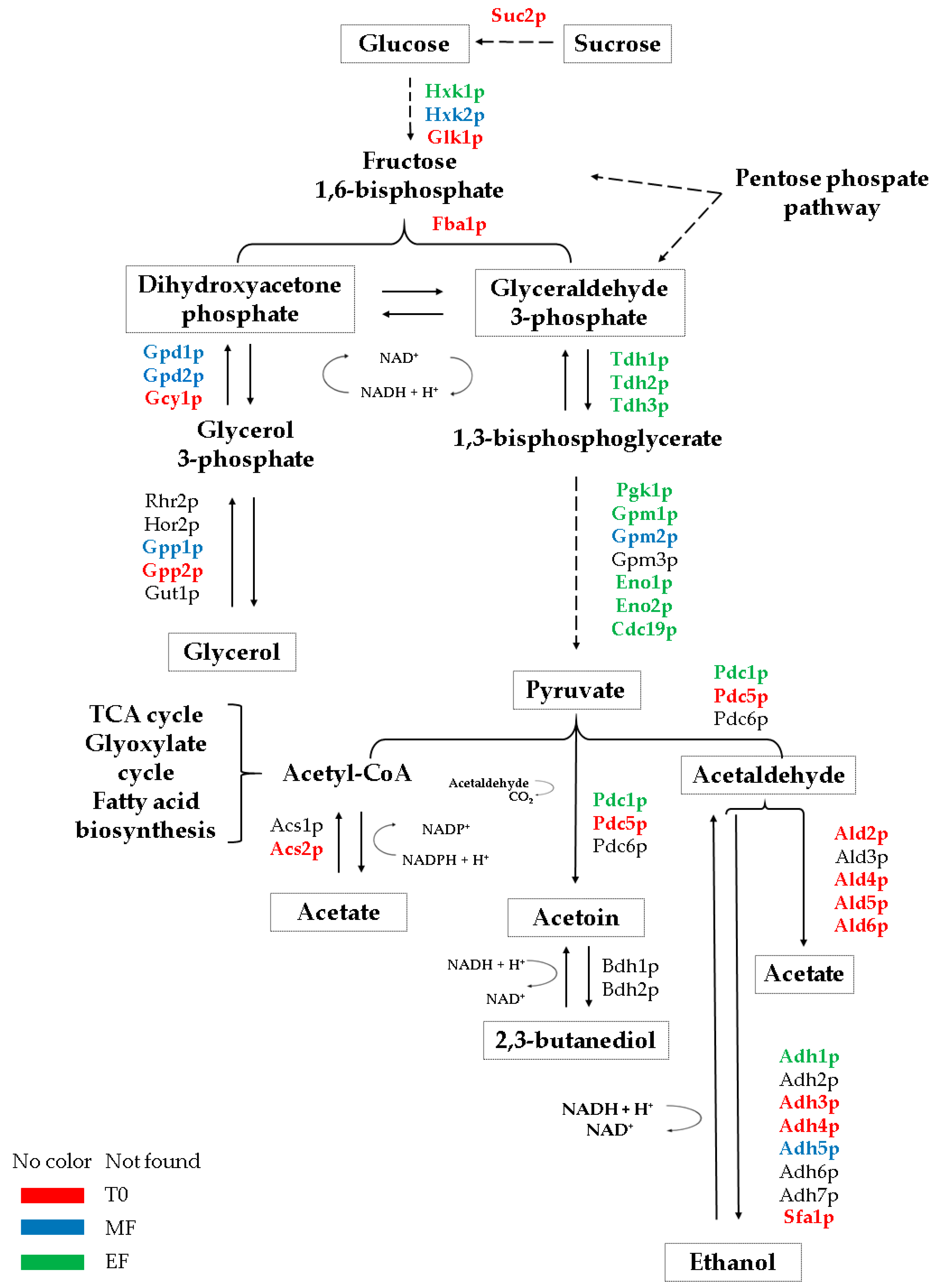 Microorganisms 08 01209 g005
