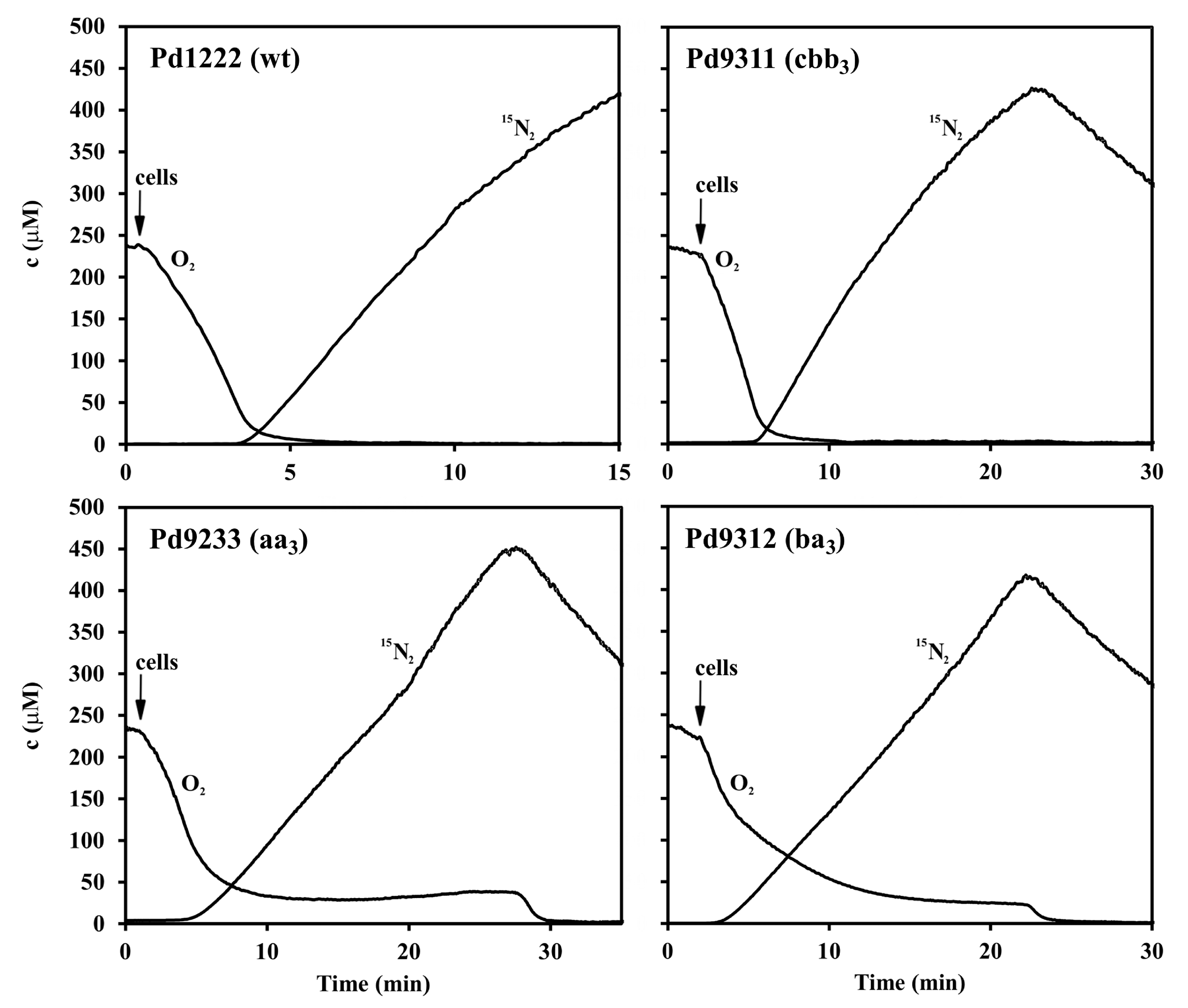 Microorganisms 08 01230 g003 Microorganisms 08 01230 g003
