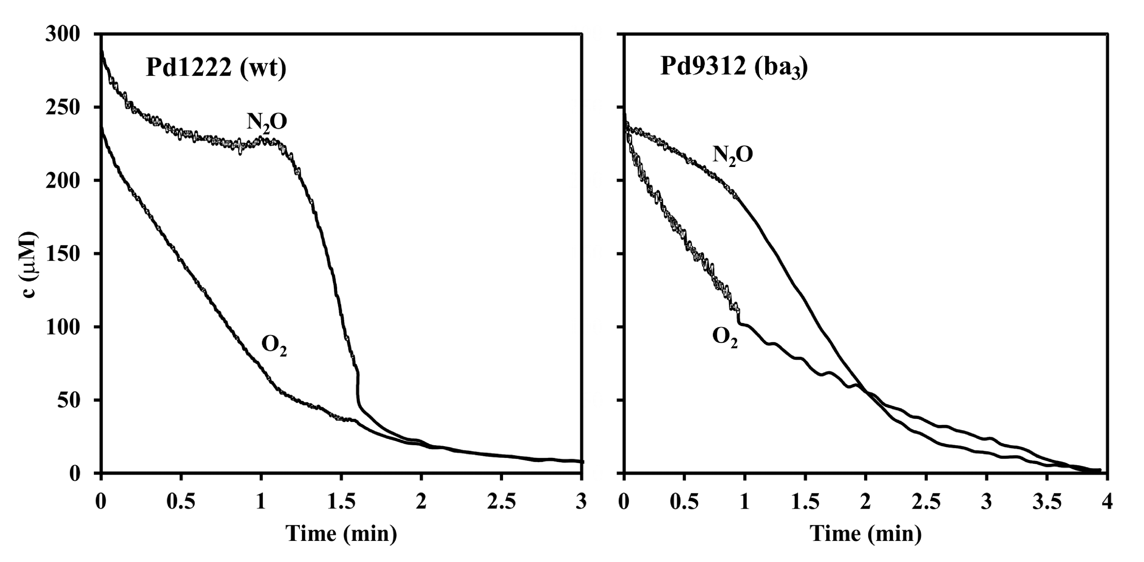Microorganisms 08 01230 g004 Microorganisms 08 01230 g004