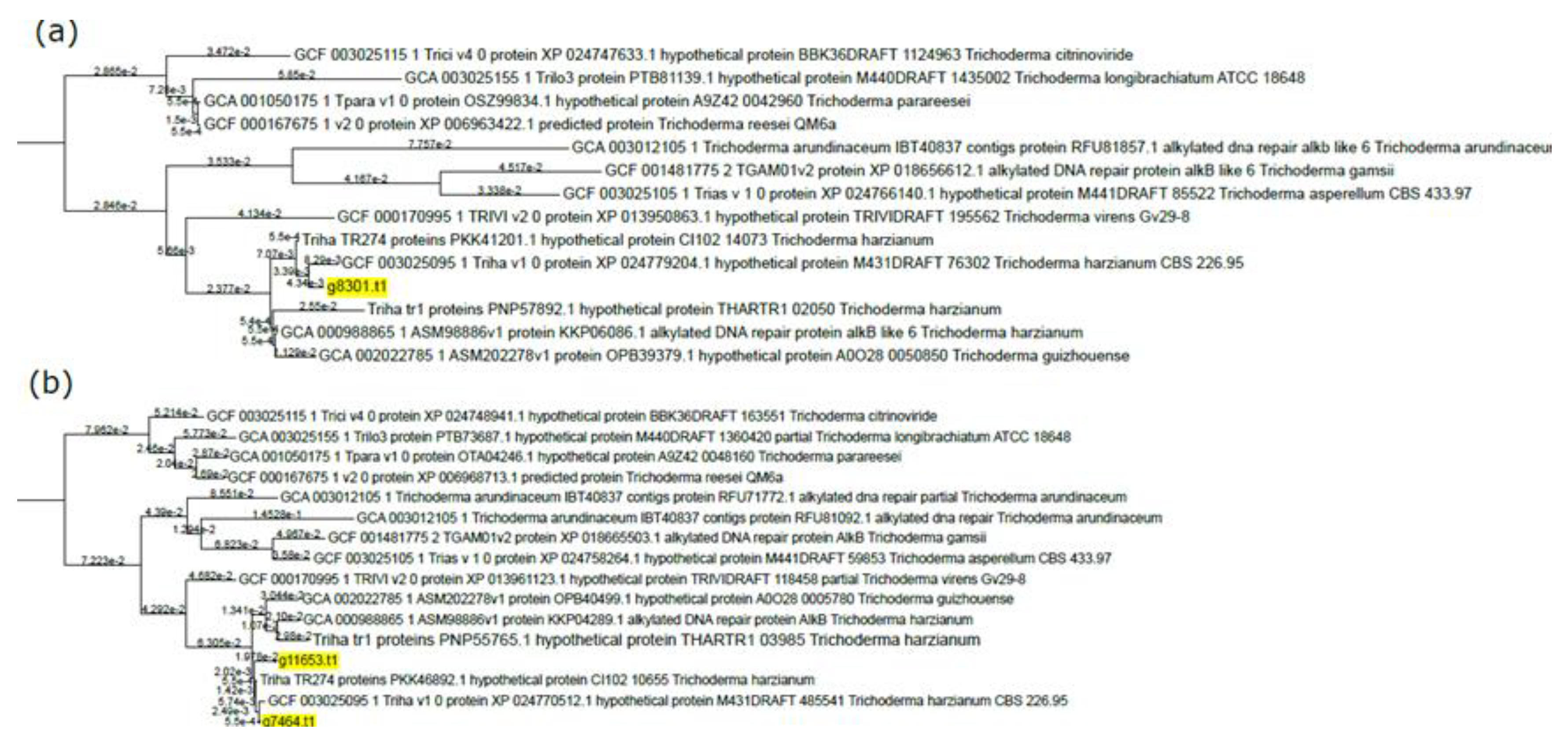 Microorganisms 08 01258 g002 Microorganisms 08 01258 g002