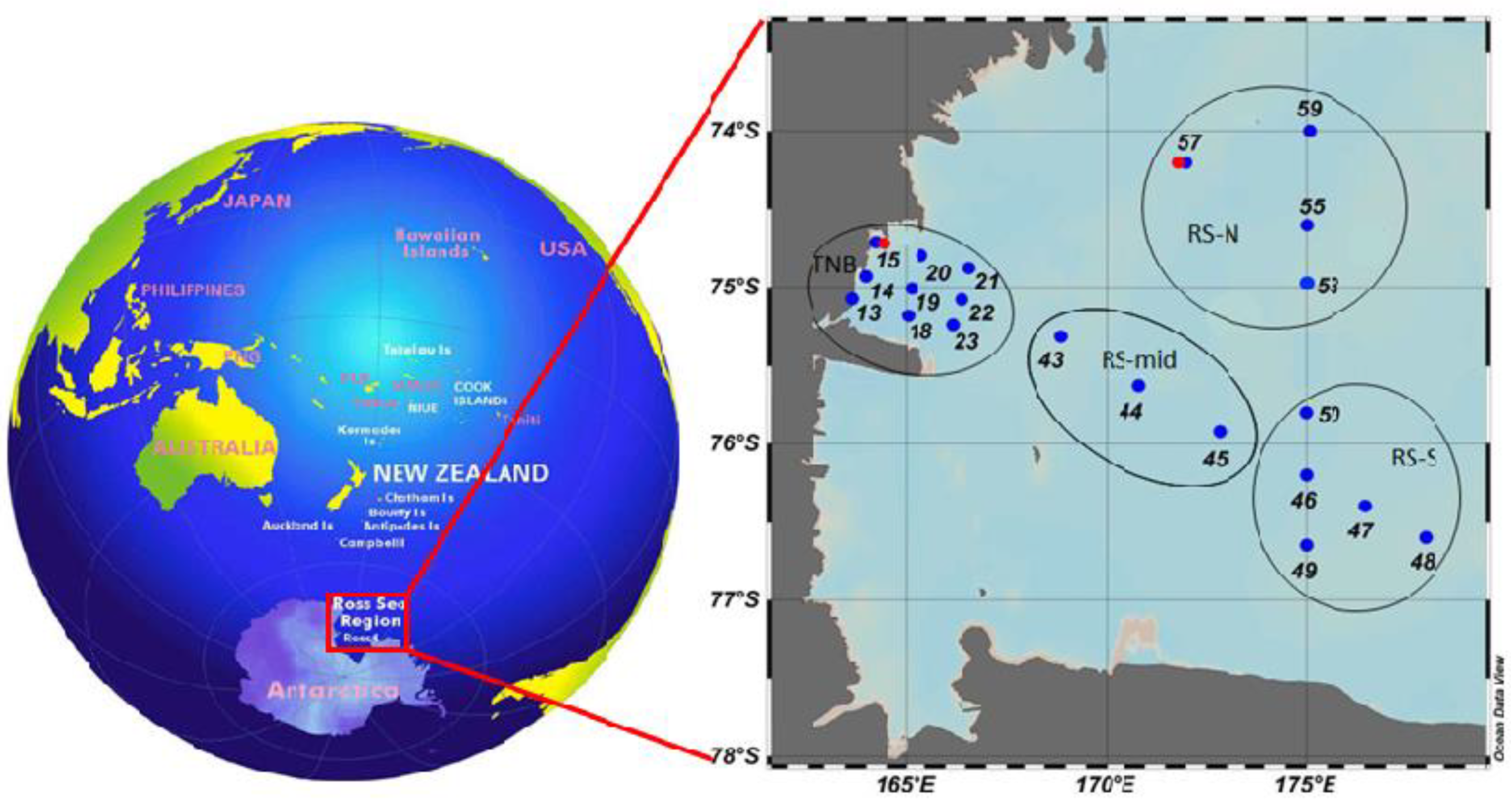 Microorganisms Free Full Text Regulation Of Microbial Activity Rates By Organic Matter In The Ross Sea During The Austral Summer 17 Html