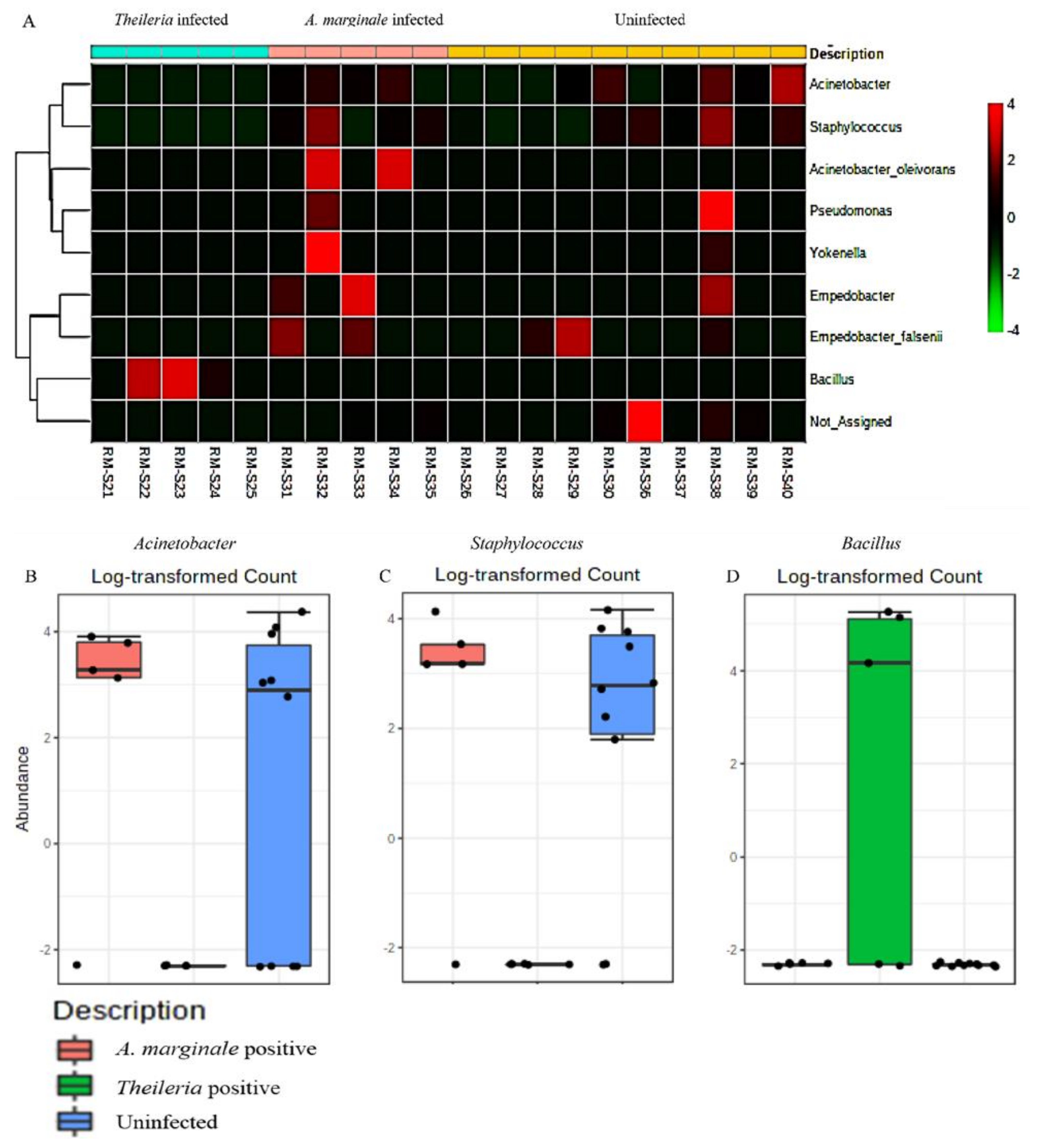 Microorganisms 08 01299 g006 Microorganisms 08 01299 g006