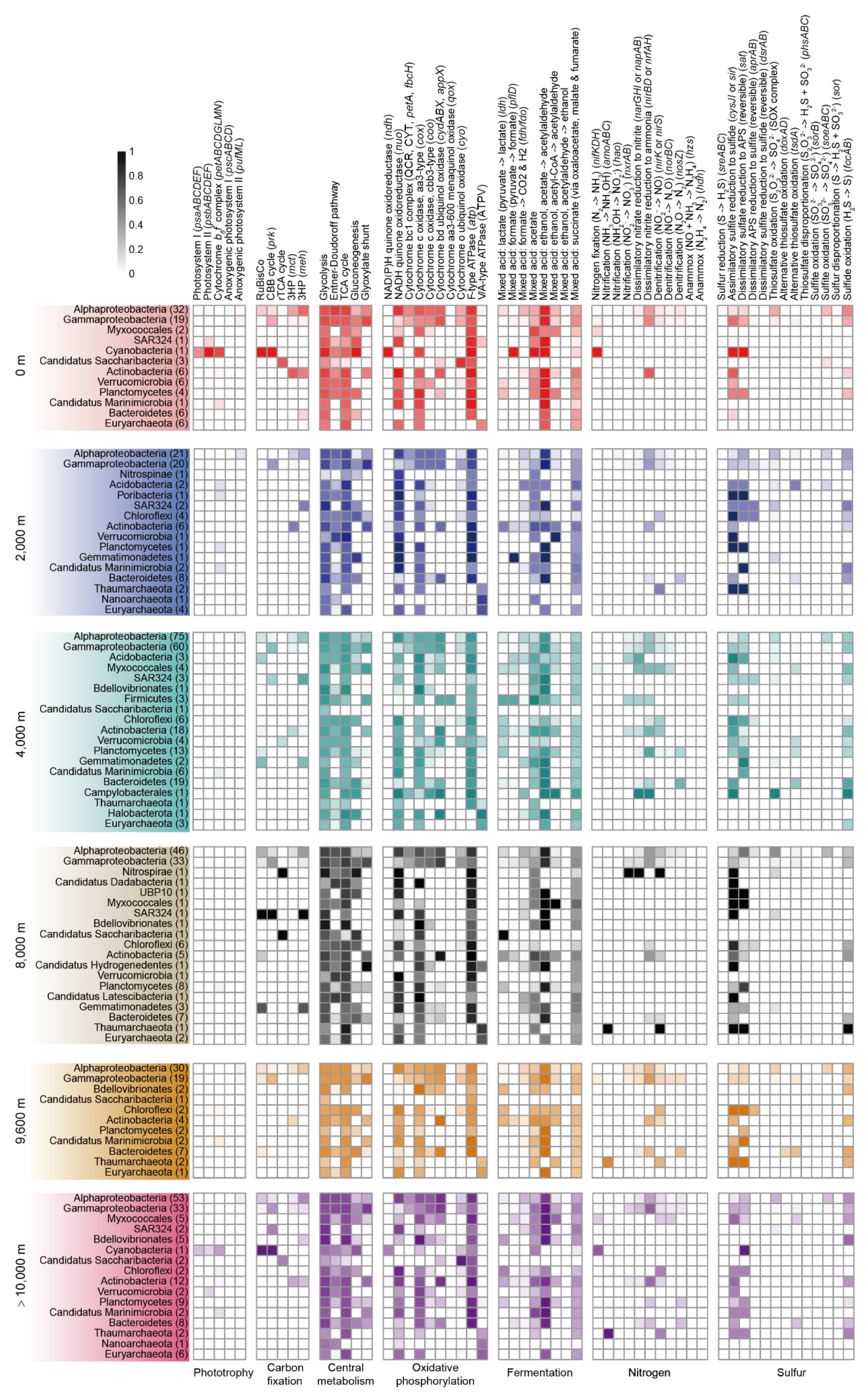 Microorganisms 08 01309 g003