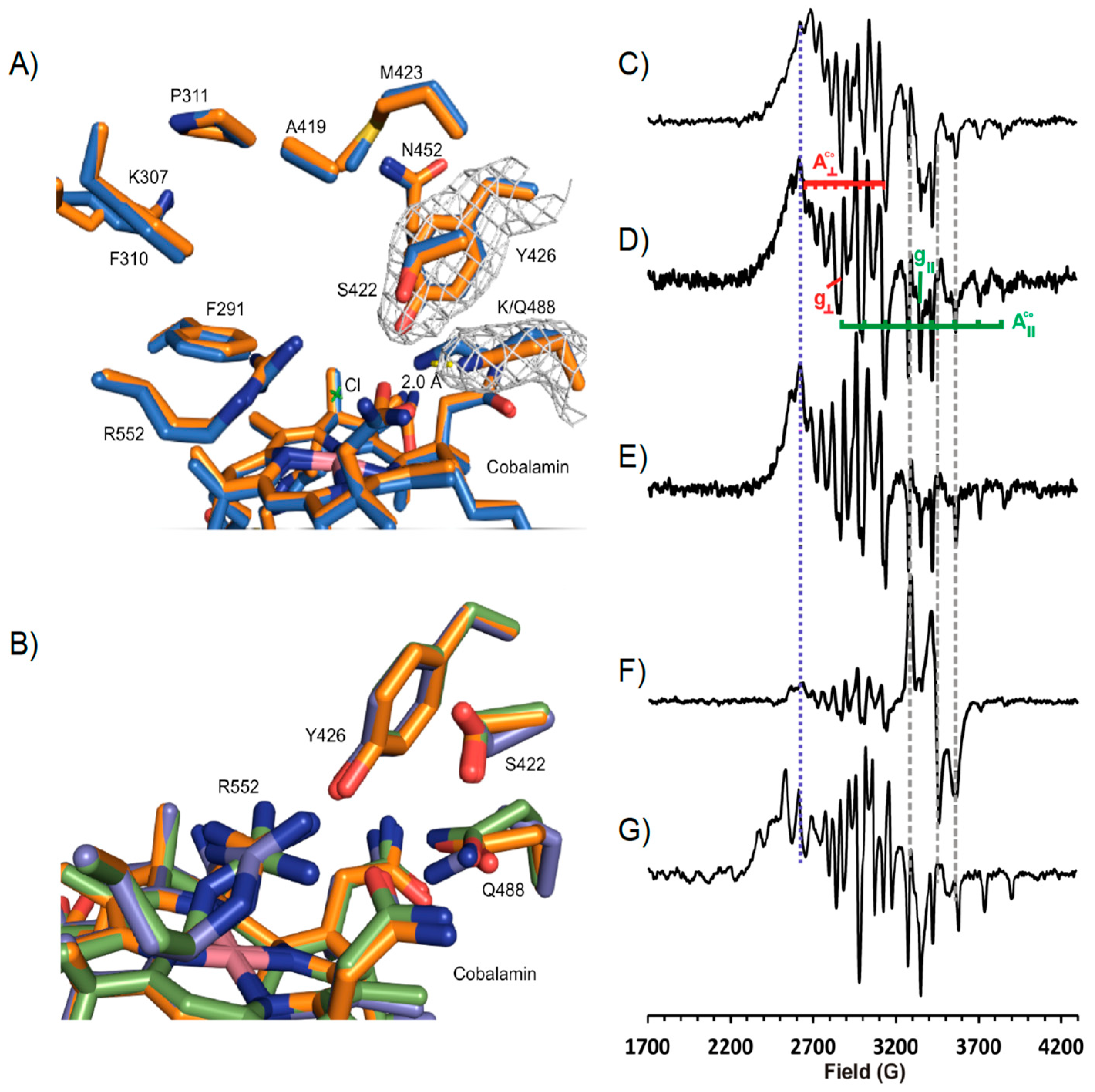 Microorganisms 08 01344 g005