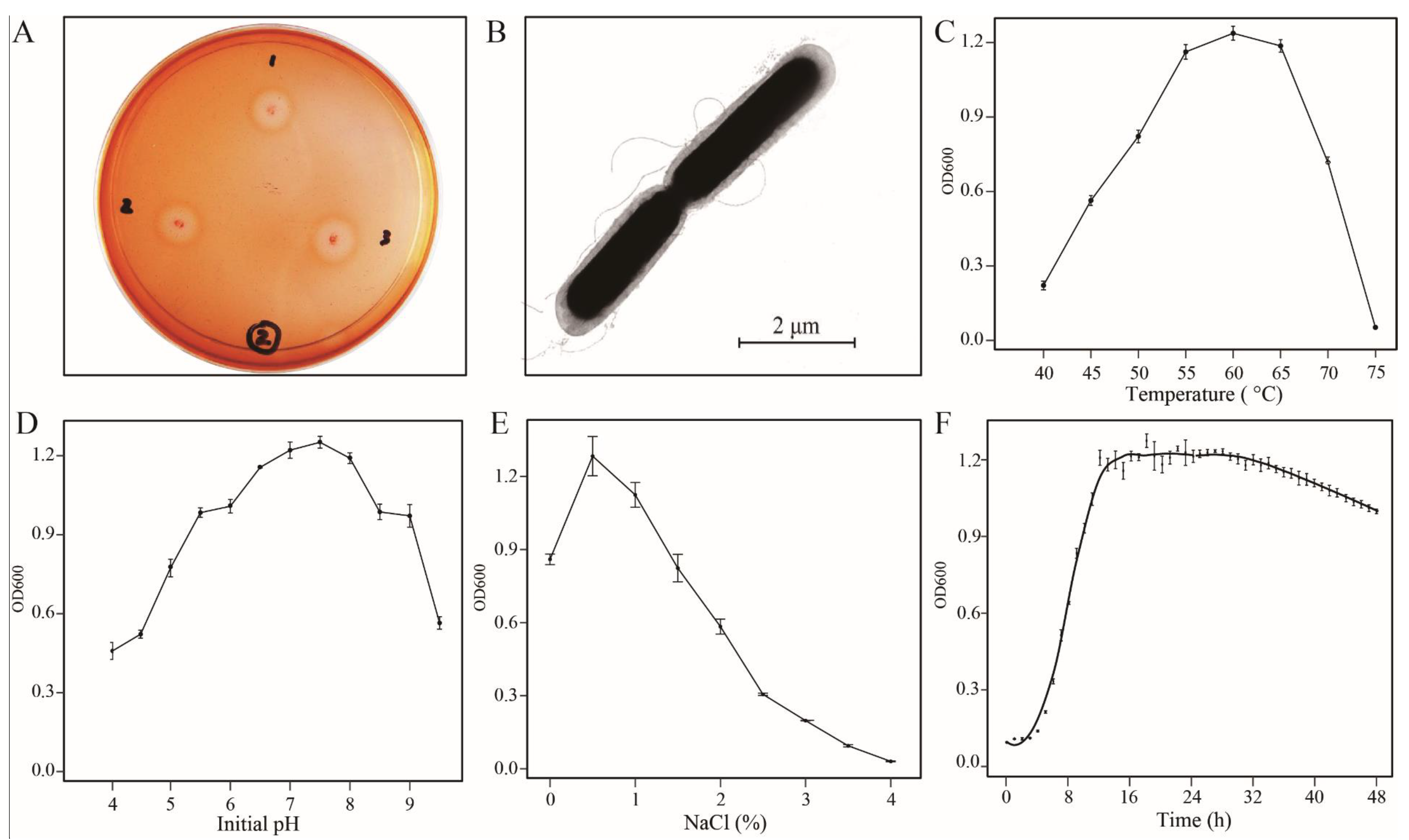 Microorganisms 08 01357 g001