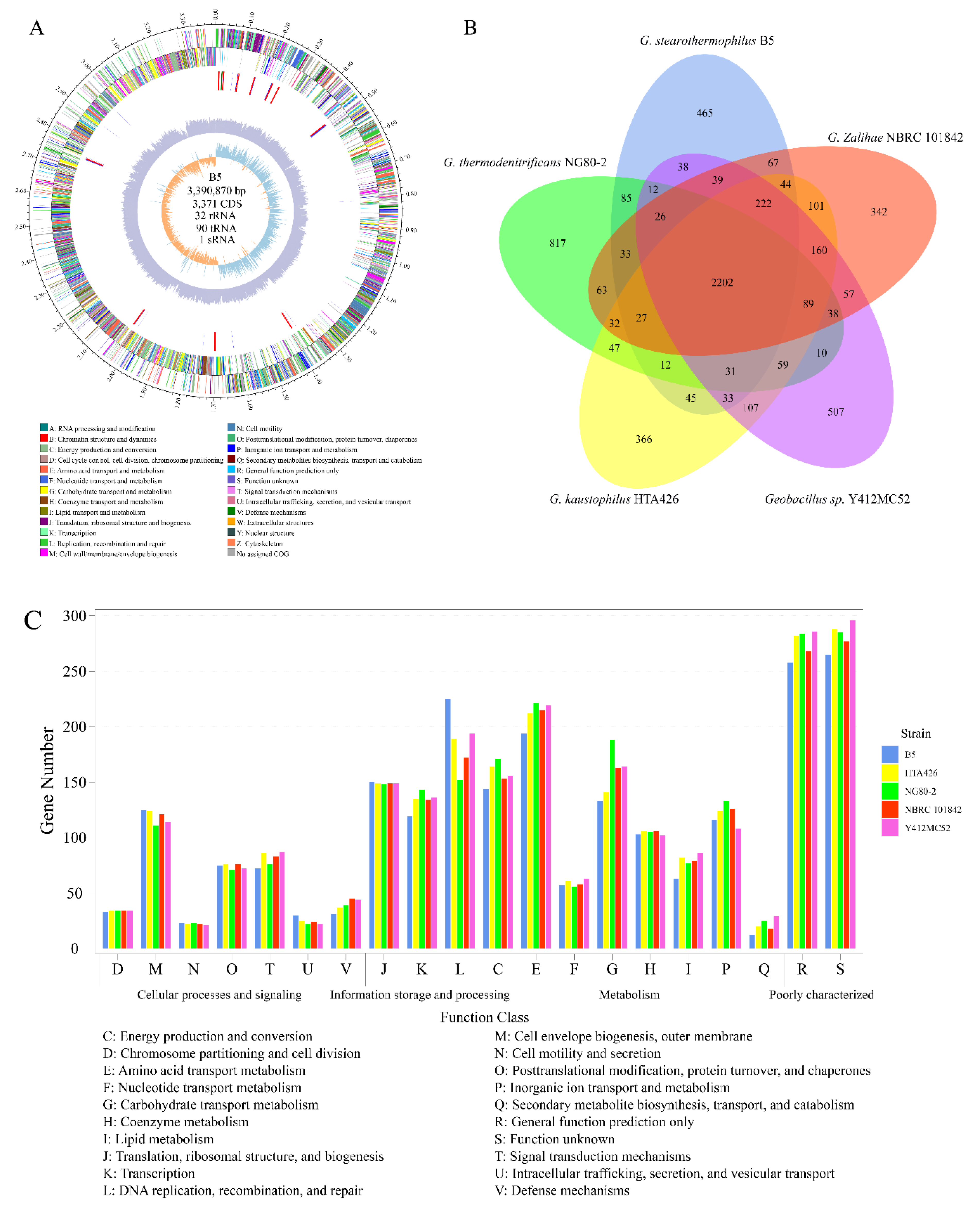 Microorganisms 08 01357 g003