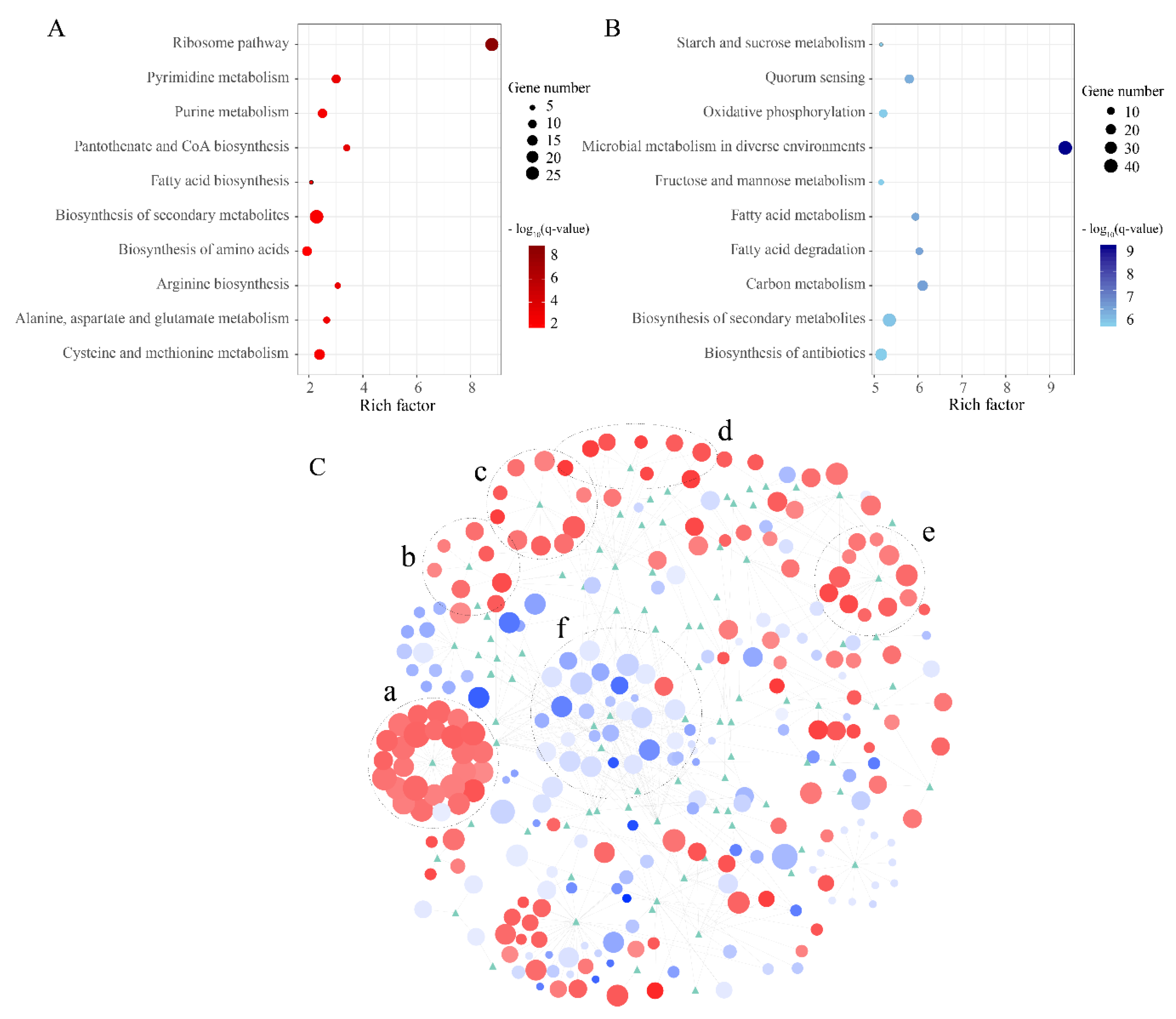 Microorganisms 08 01357 g005