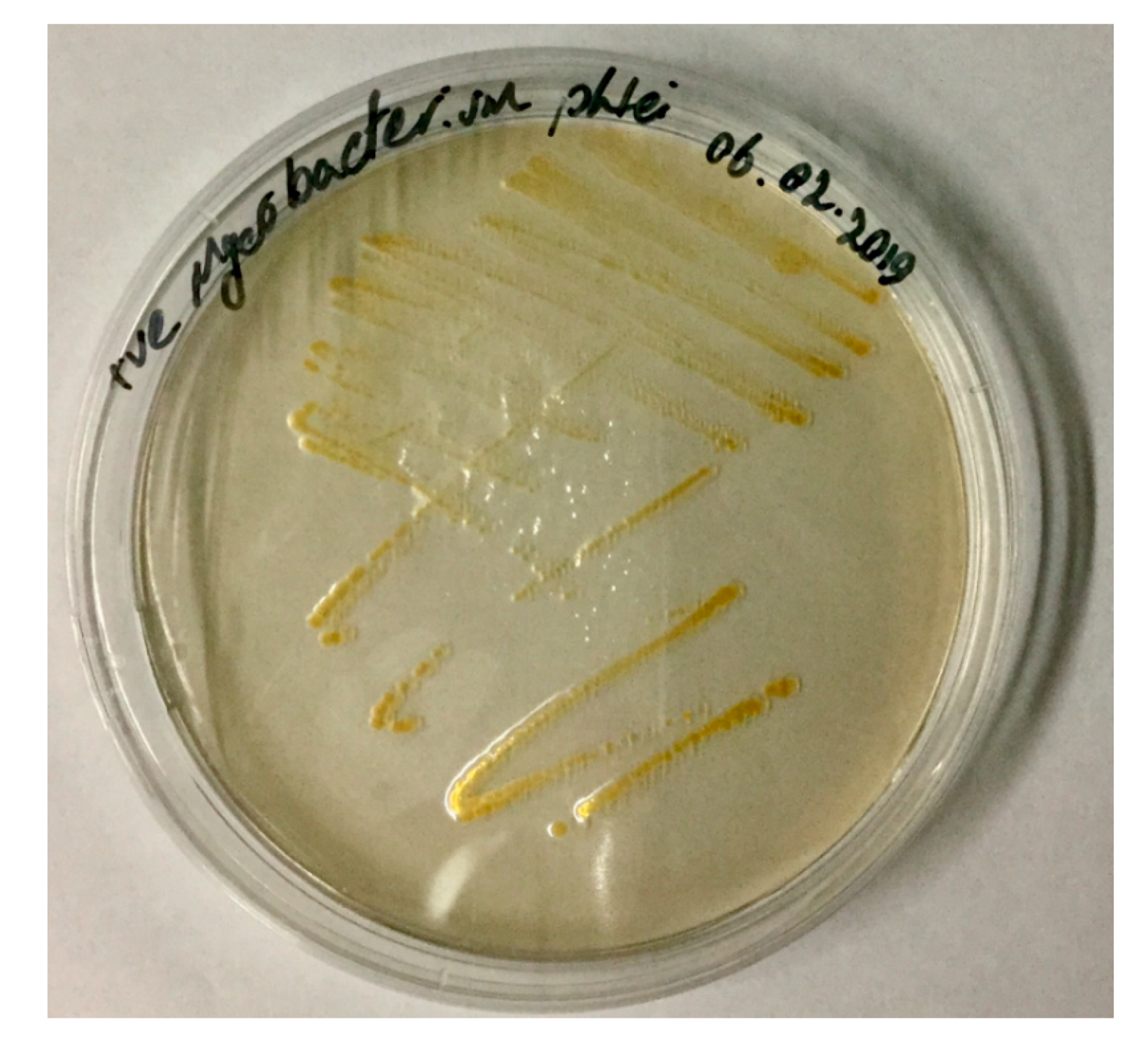 Microorganisms 08 01368 g003 Microorganisms 08 01368 g003