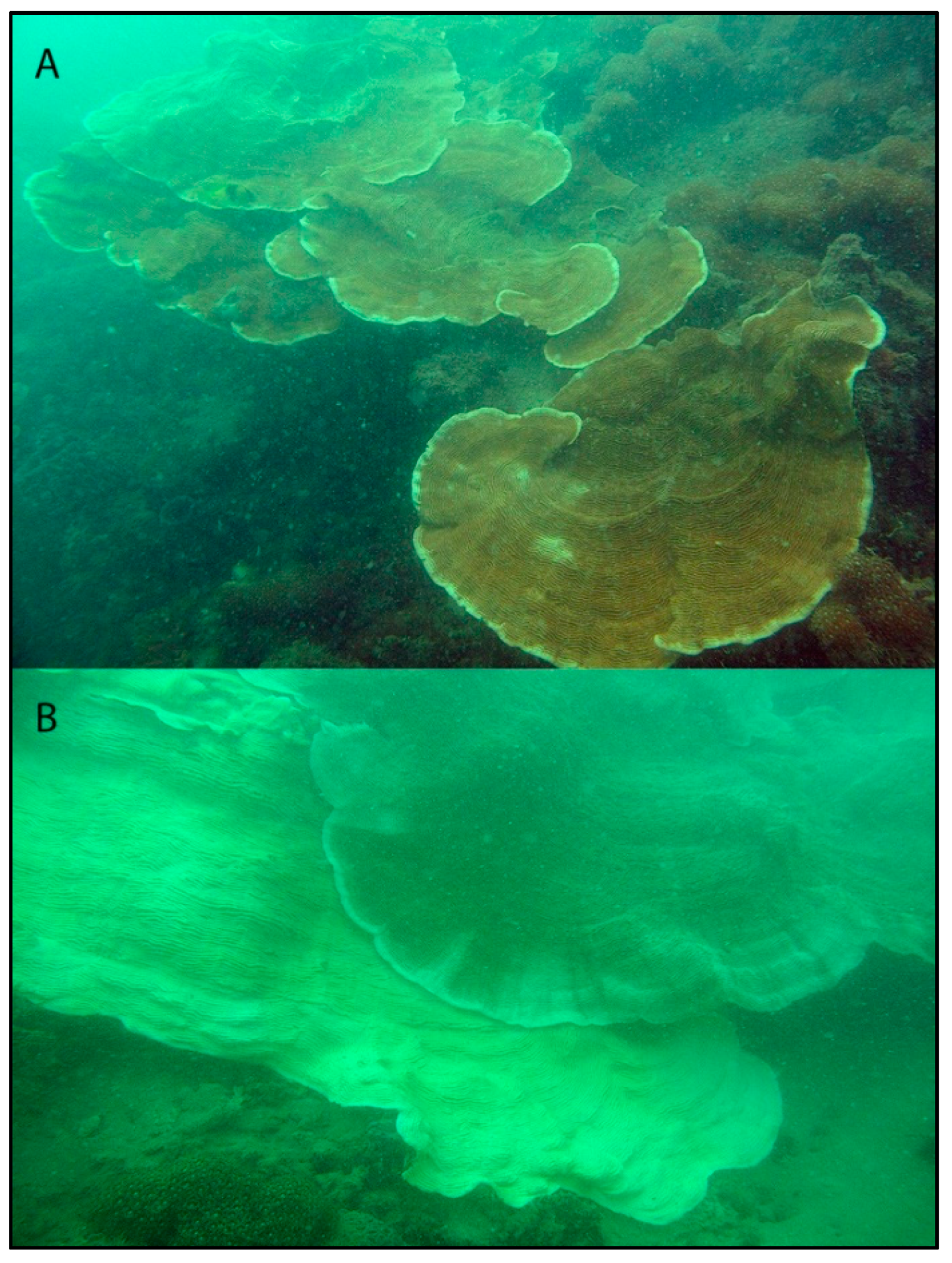 Microorganisms 08 01370 g001 Microorganisms 08 01370 g001