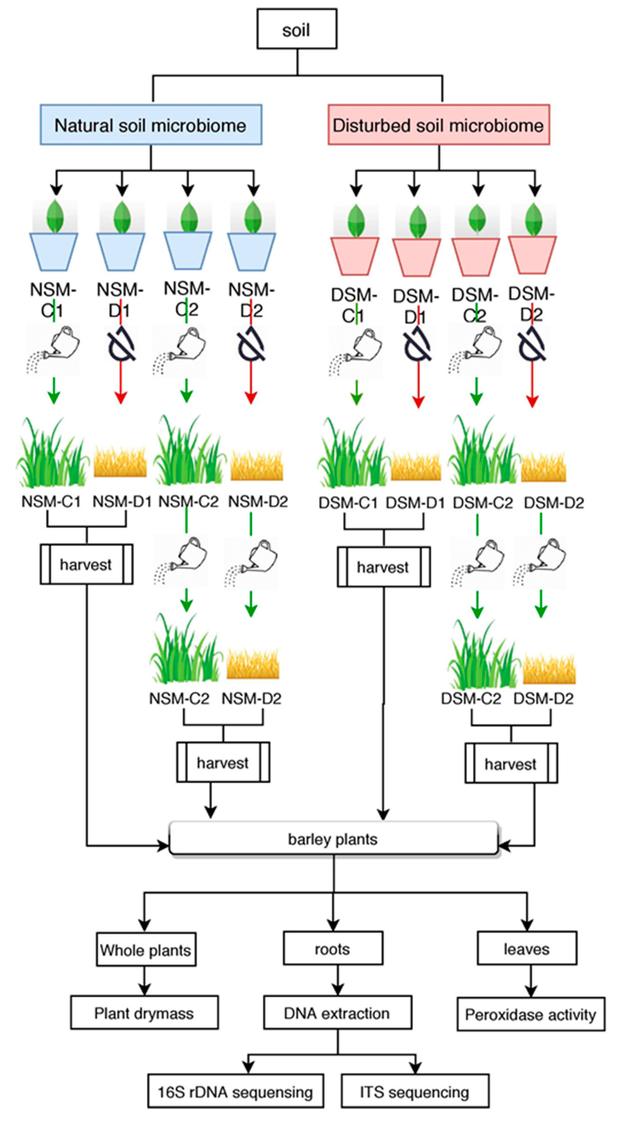 Microorganisms 08 01414 g001 Microorganisms 08 01414 g001