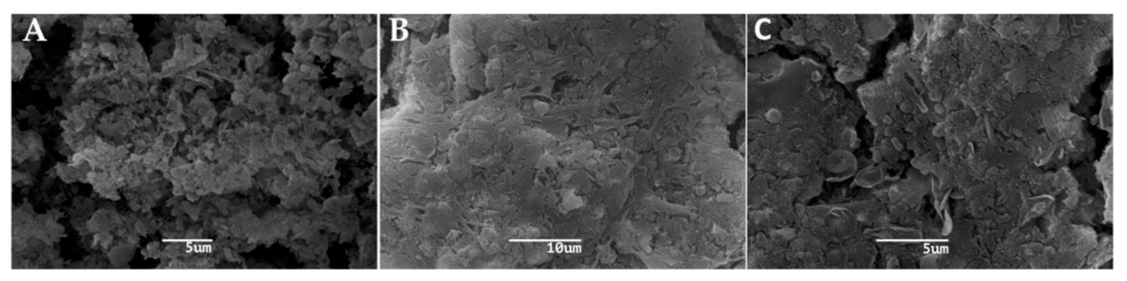 Microorganisms 08 01418 g001 Microorganisms 08 01418 g001