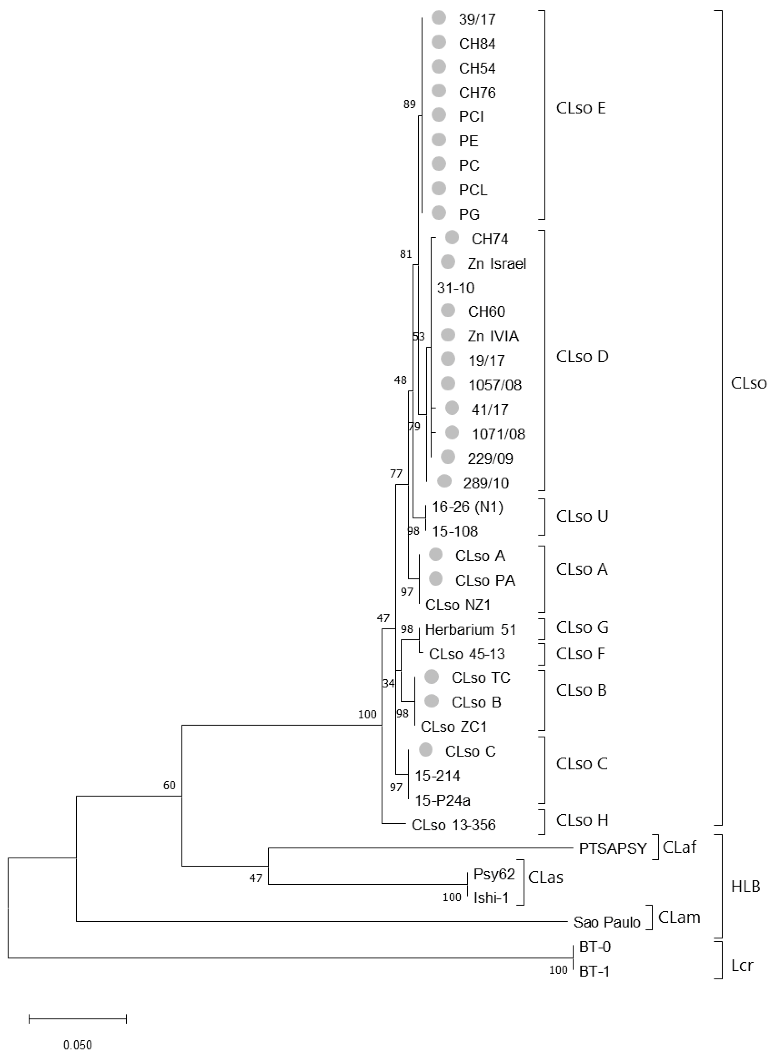 Microorganisms 08 01446 g001
