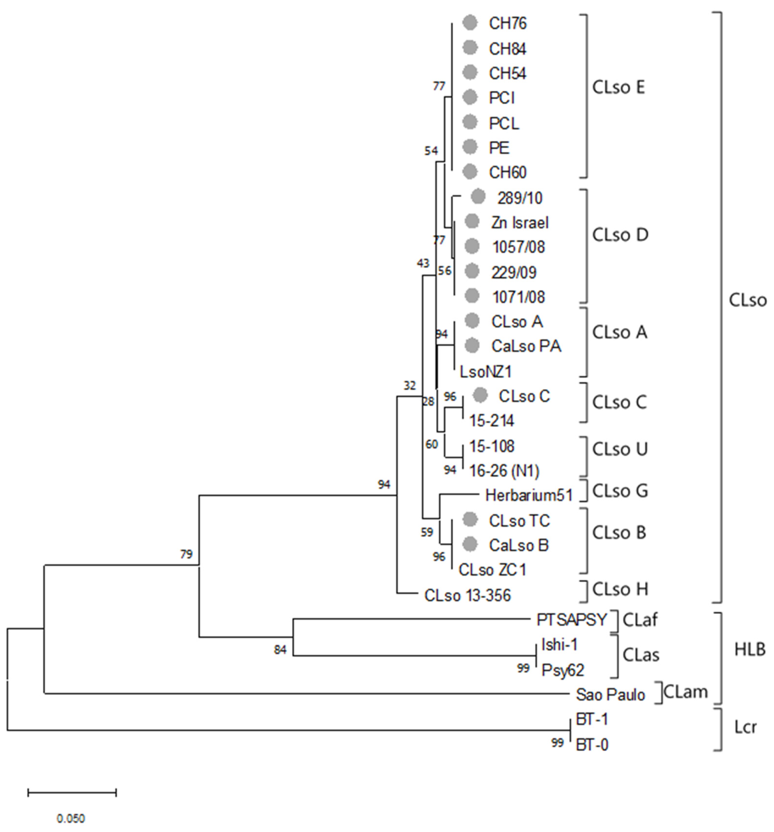 Microorganisms 08 01446 g002