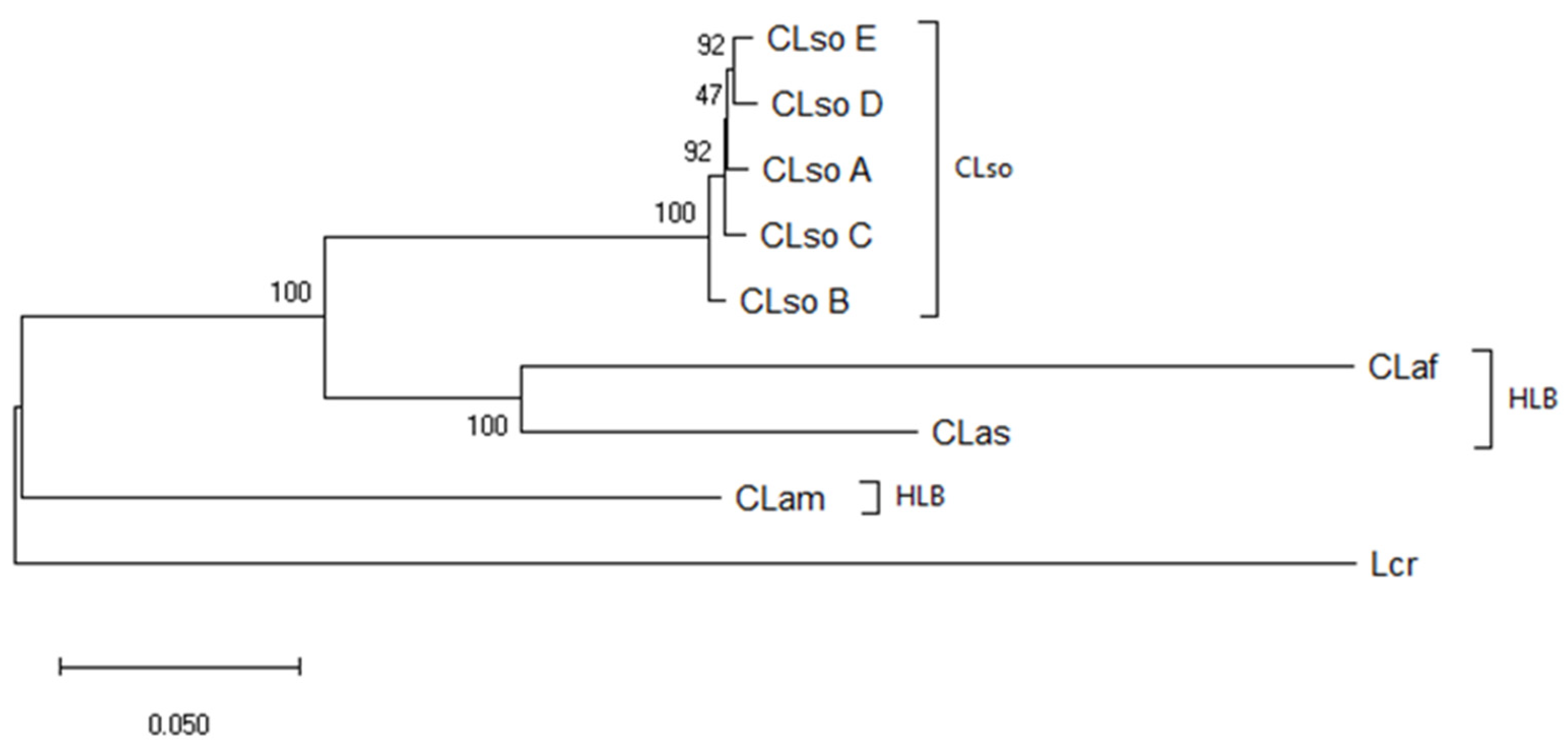 Microorganisms 08 01446 g005