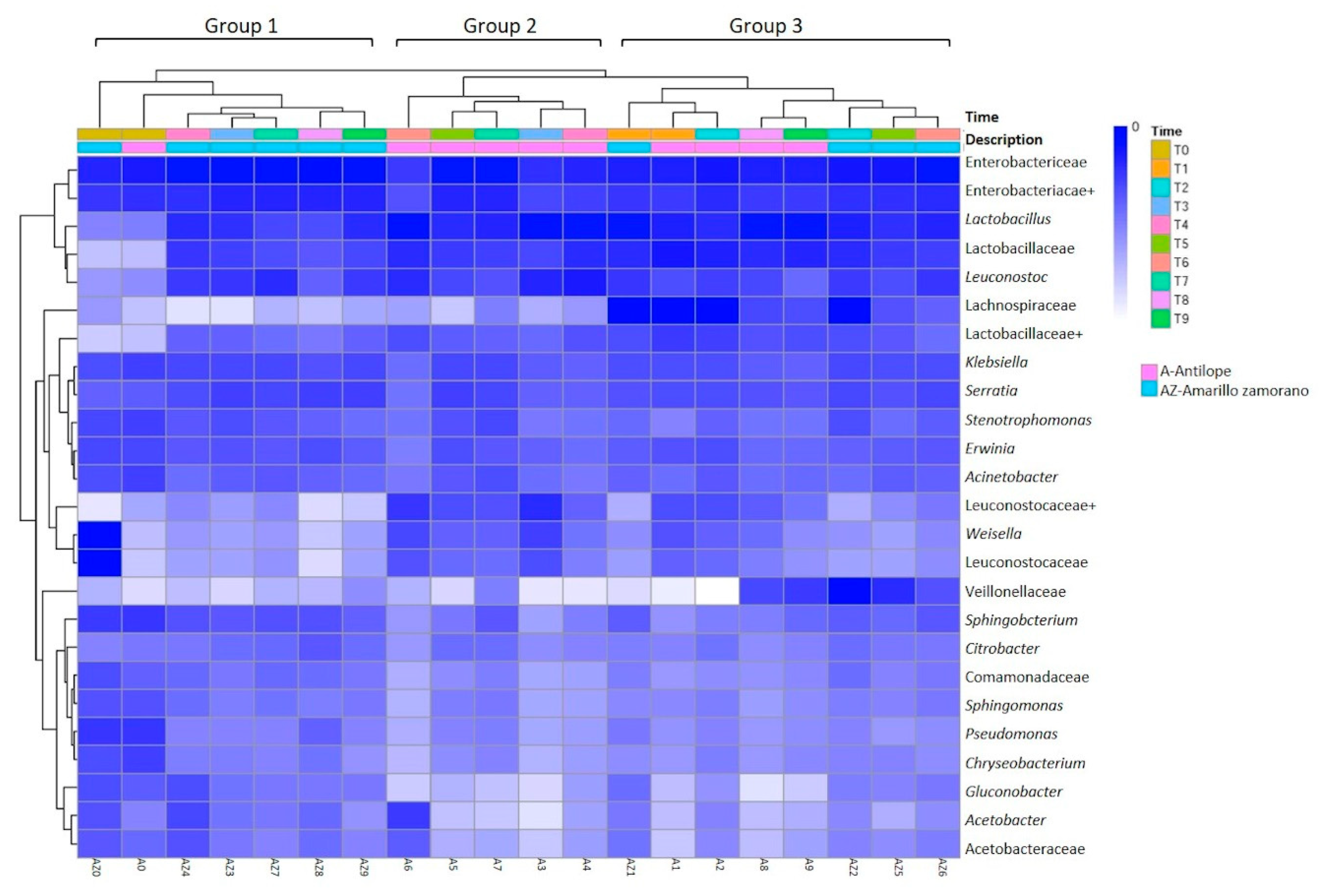 Microorganisms 08 01503 g003