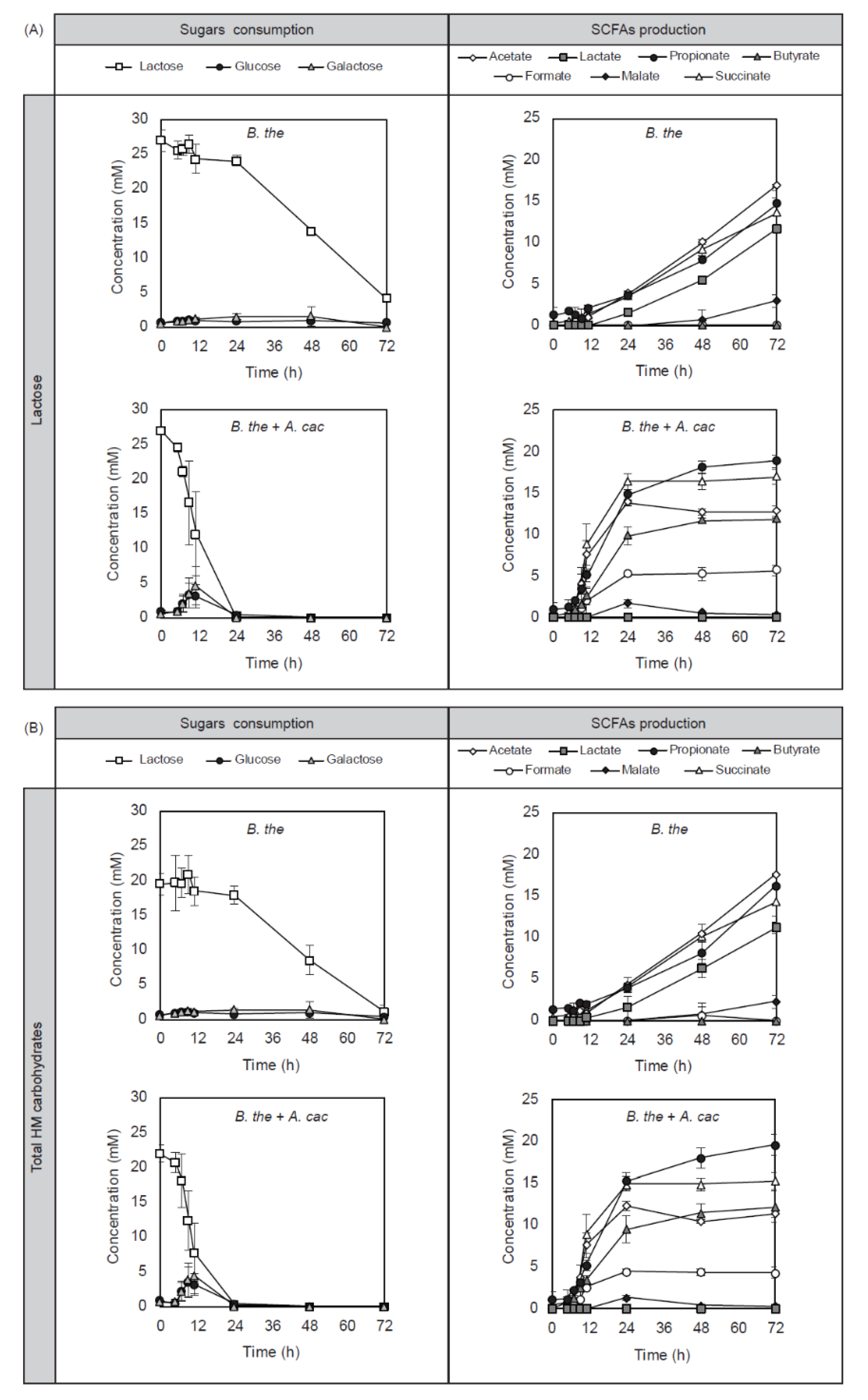 Microorganisms | Free Full-Text | Bacteroides thetaiotaomicron