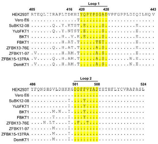 Microorganisms Free Full Text Receptor Mediated Host Cell Preference Of A Bat Derived Filovirus Lloviu Virus Html