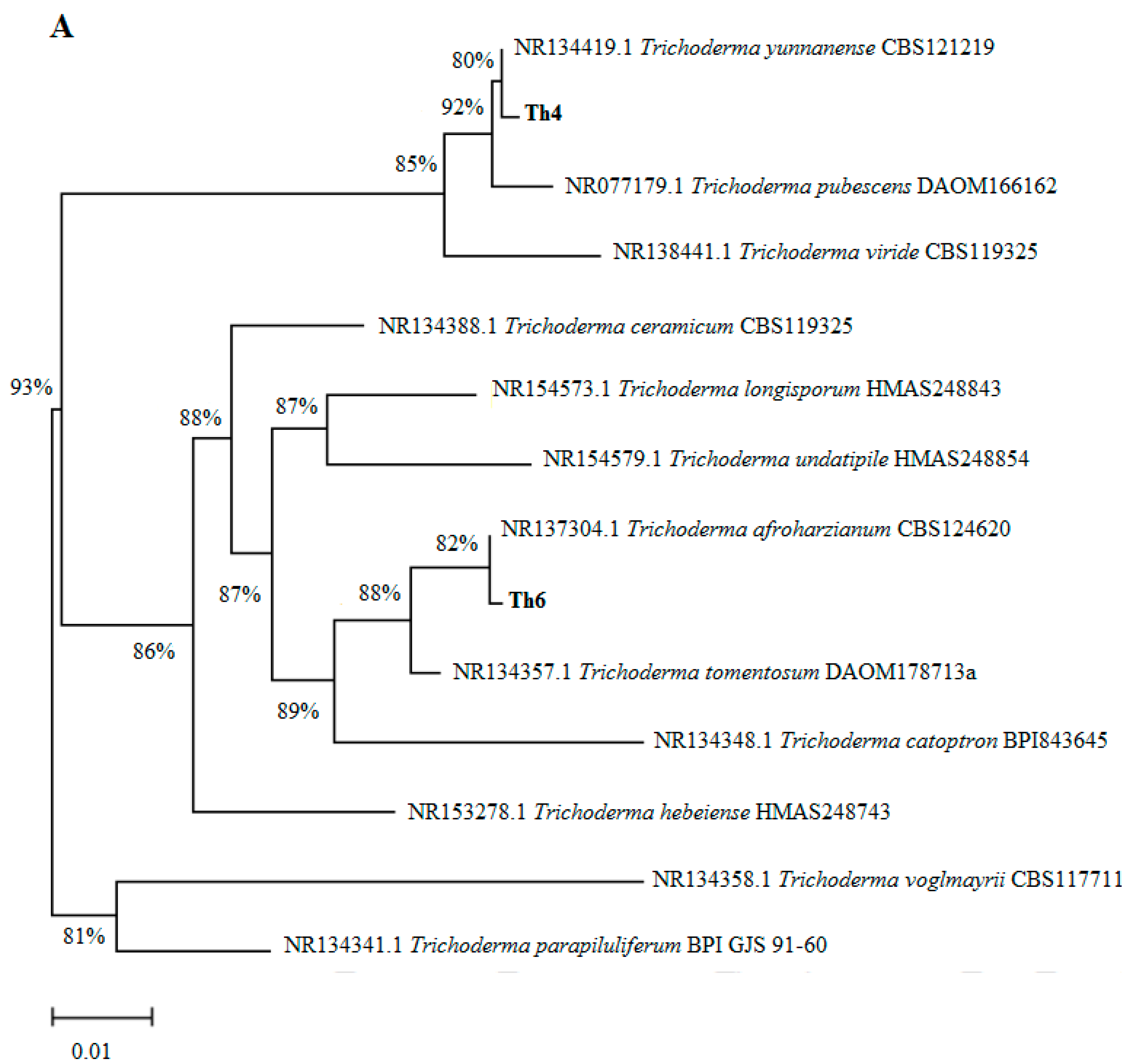 Microorganisms 08 01565 g001a Microorganisms 08 01565 g001a